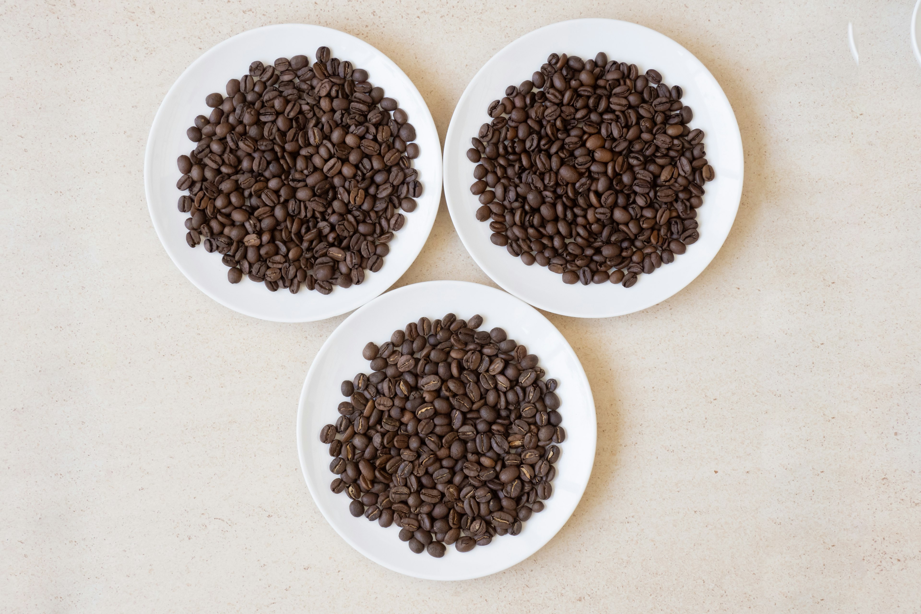 Photo of coffee beans arranged on three white plates