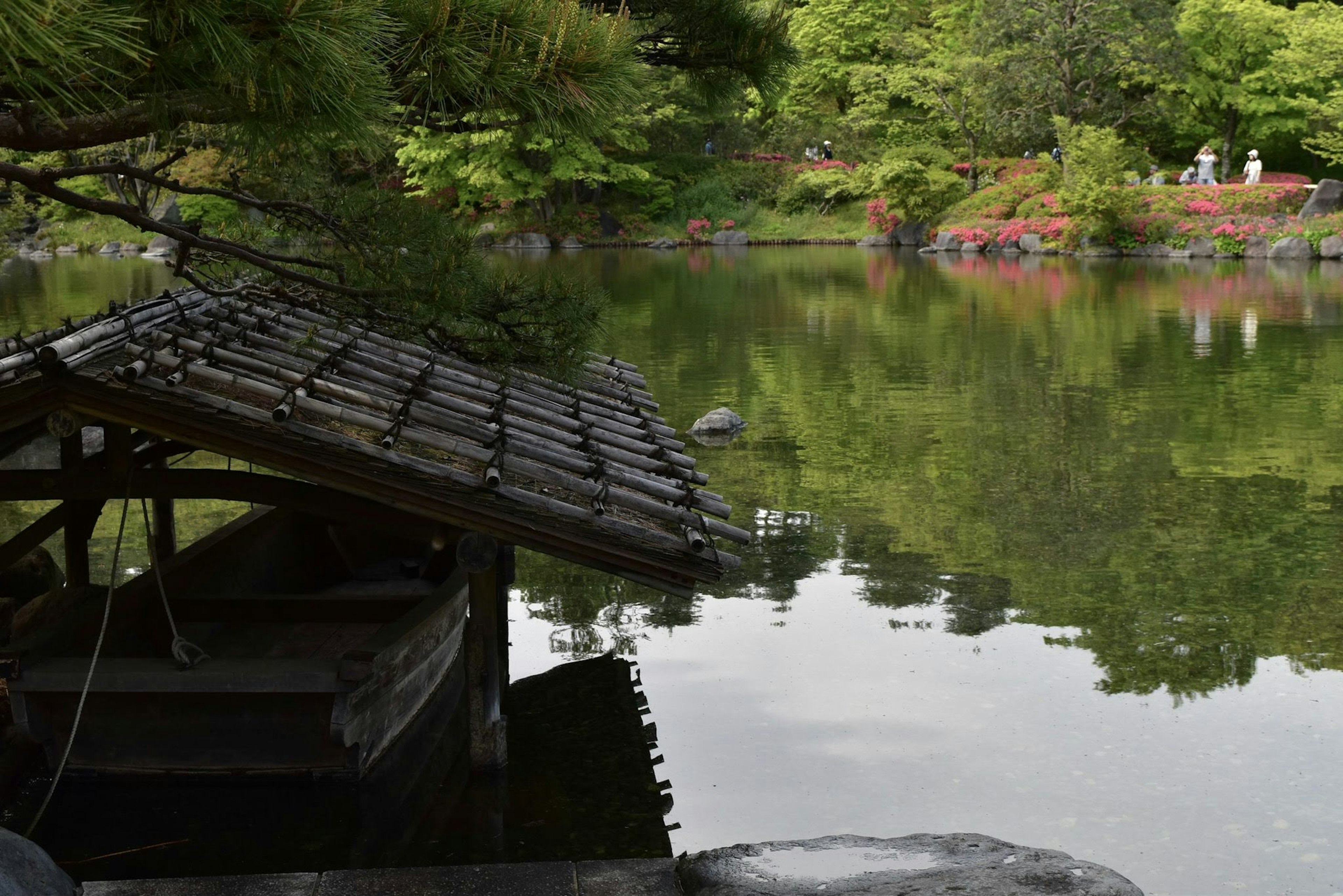 A tranquil pond surrounded by lush greenery with a small hut