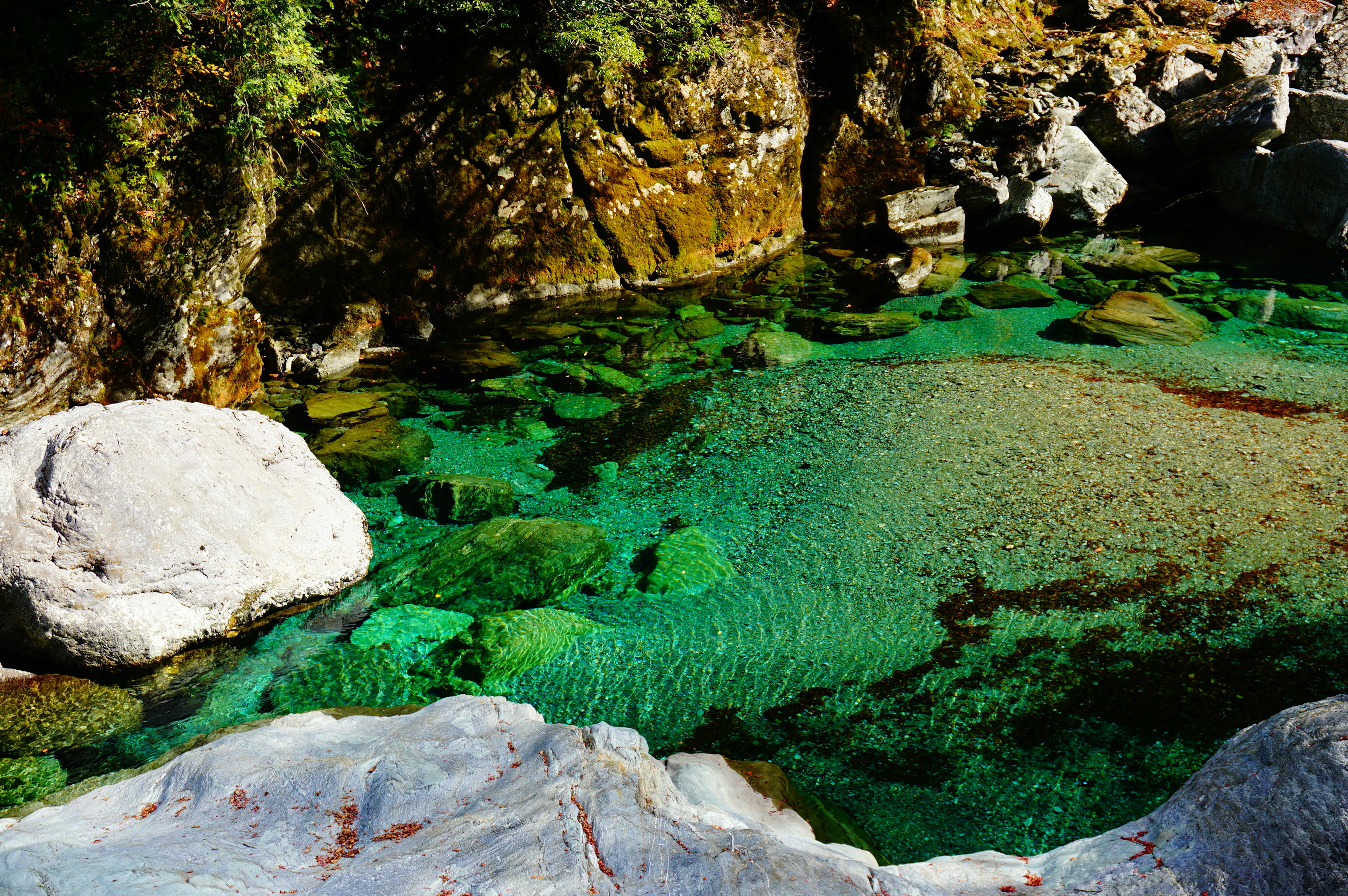 Scena di fiume serena con acqua limpida e rocce verdi