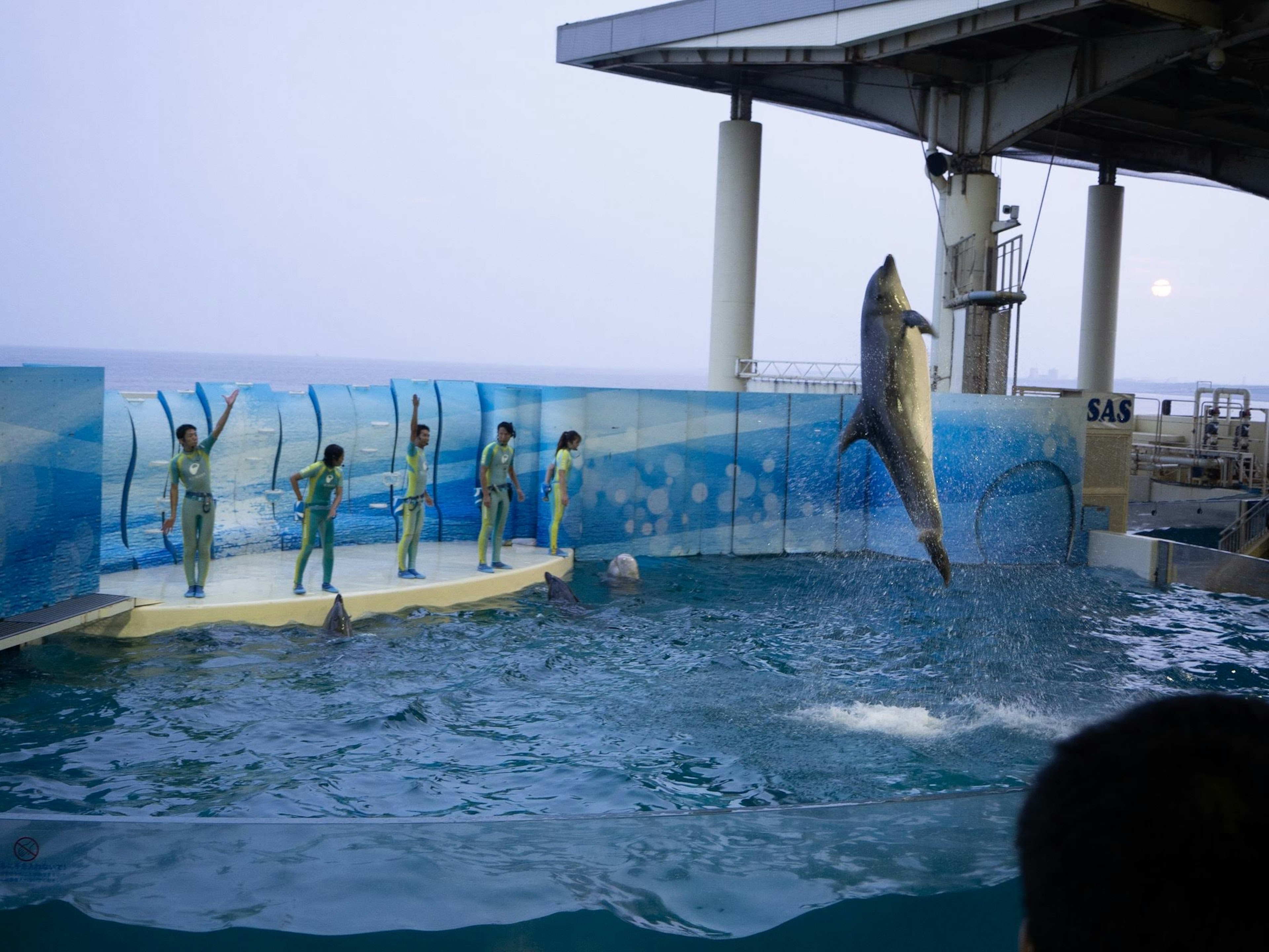 A shark jumping out of the water with performers in an aquarium setting