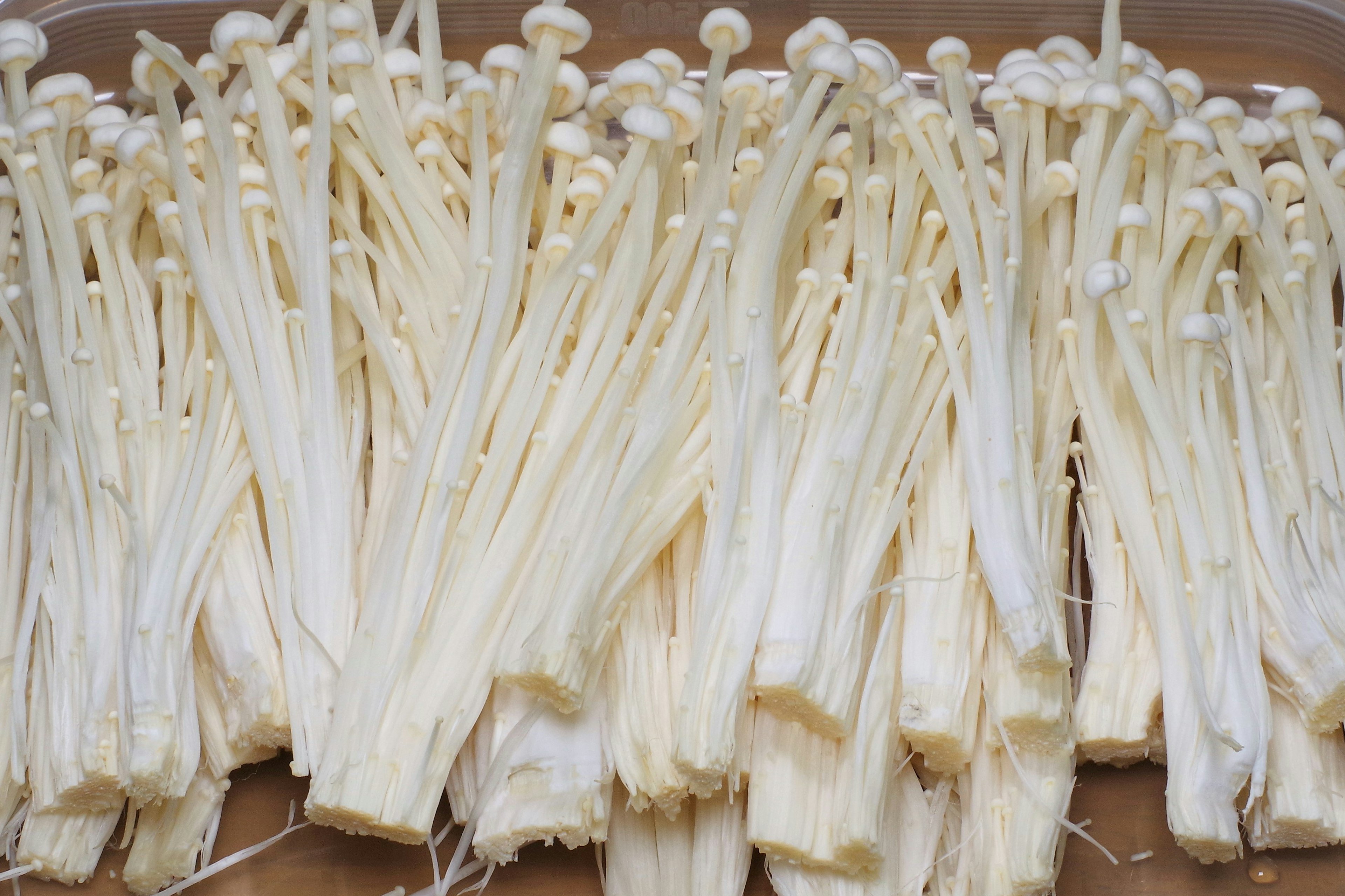 A cluster of white enoki mushrooms arranged closely together