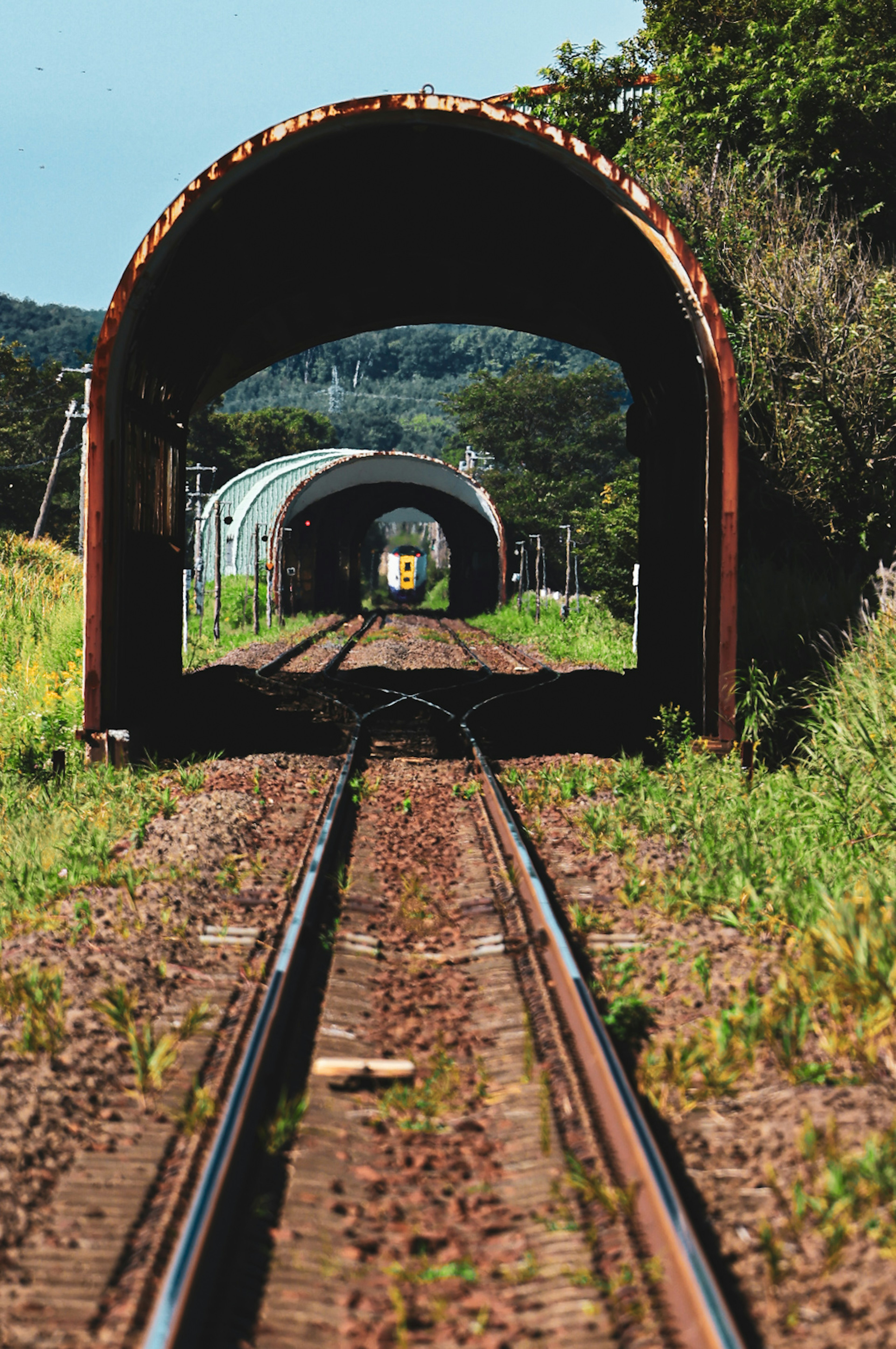 鉄道トンネルが見える風景 緑の草地とレールが並ぶ