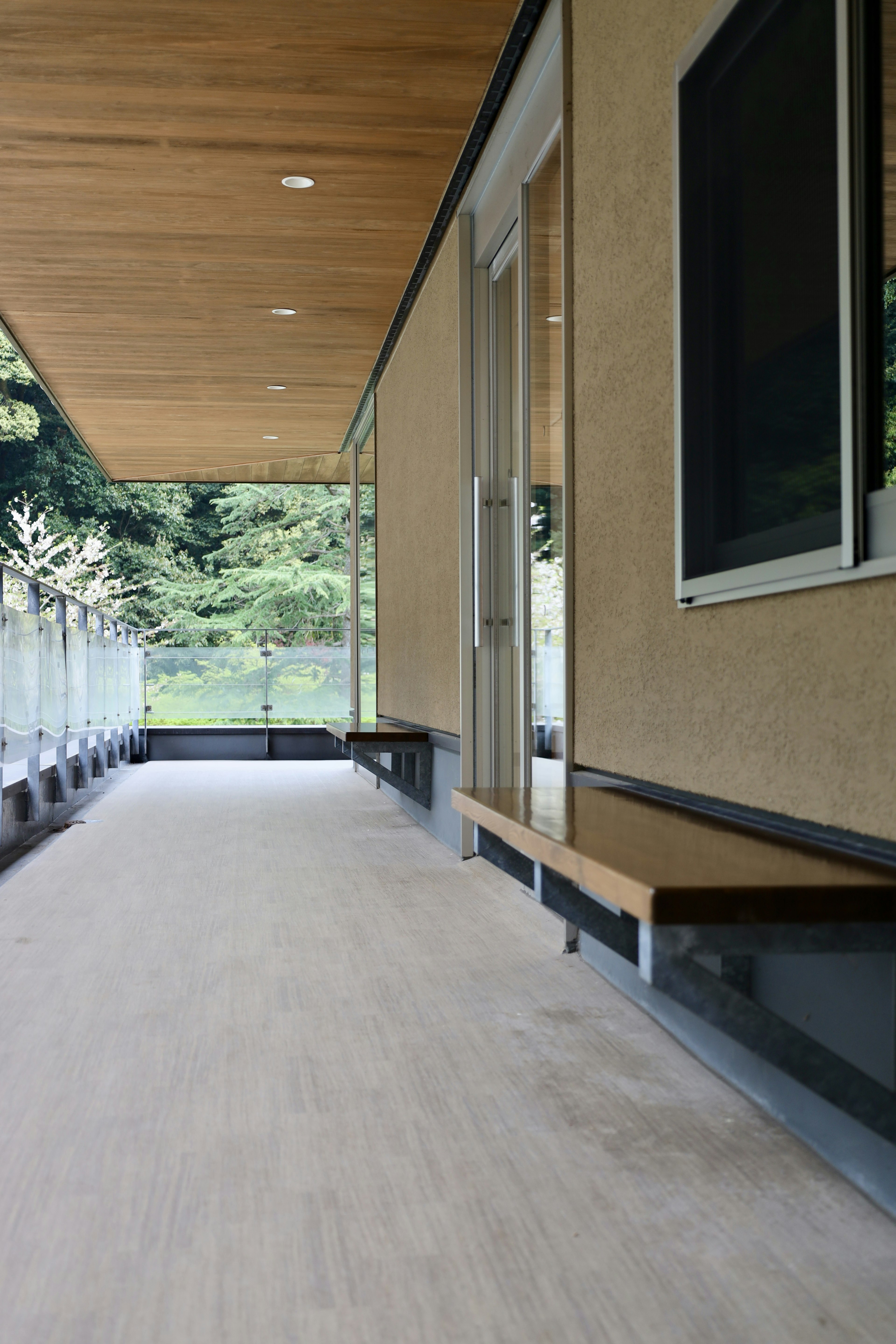 Pasillo moderno con techo de madera luz natural que entra vegetación visible afuera