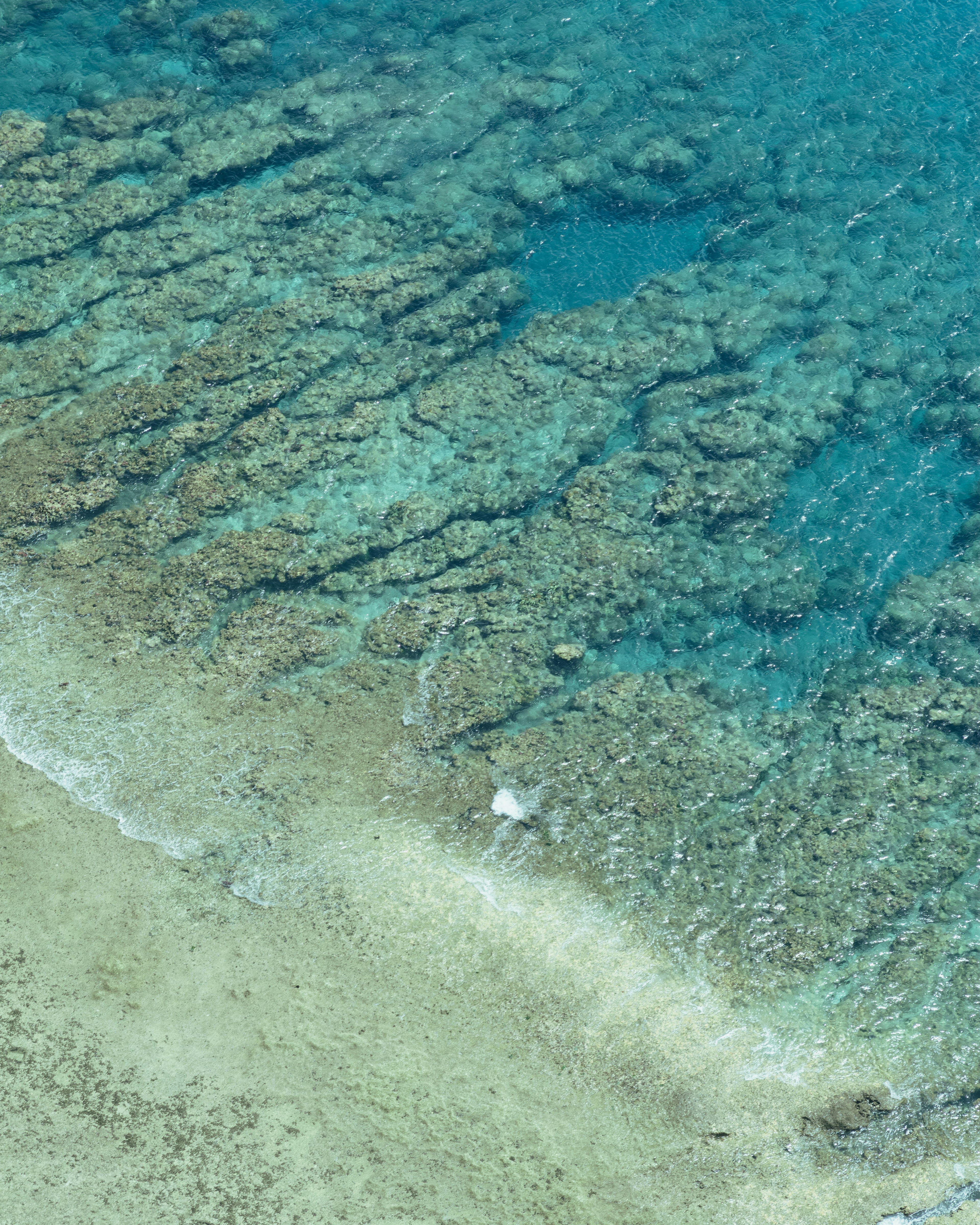 青い海と浅瀬のサンゴ礁が見える美しいビーチ