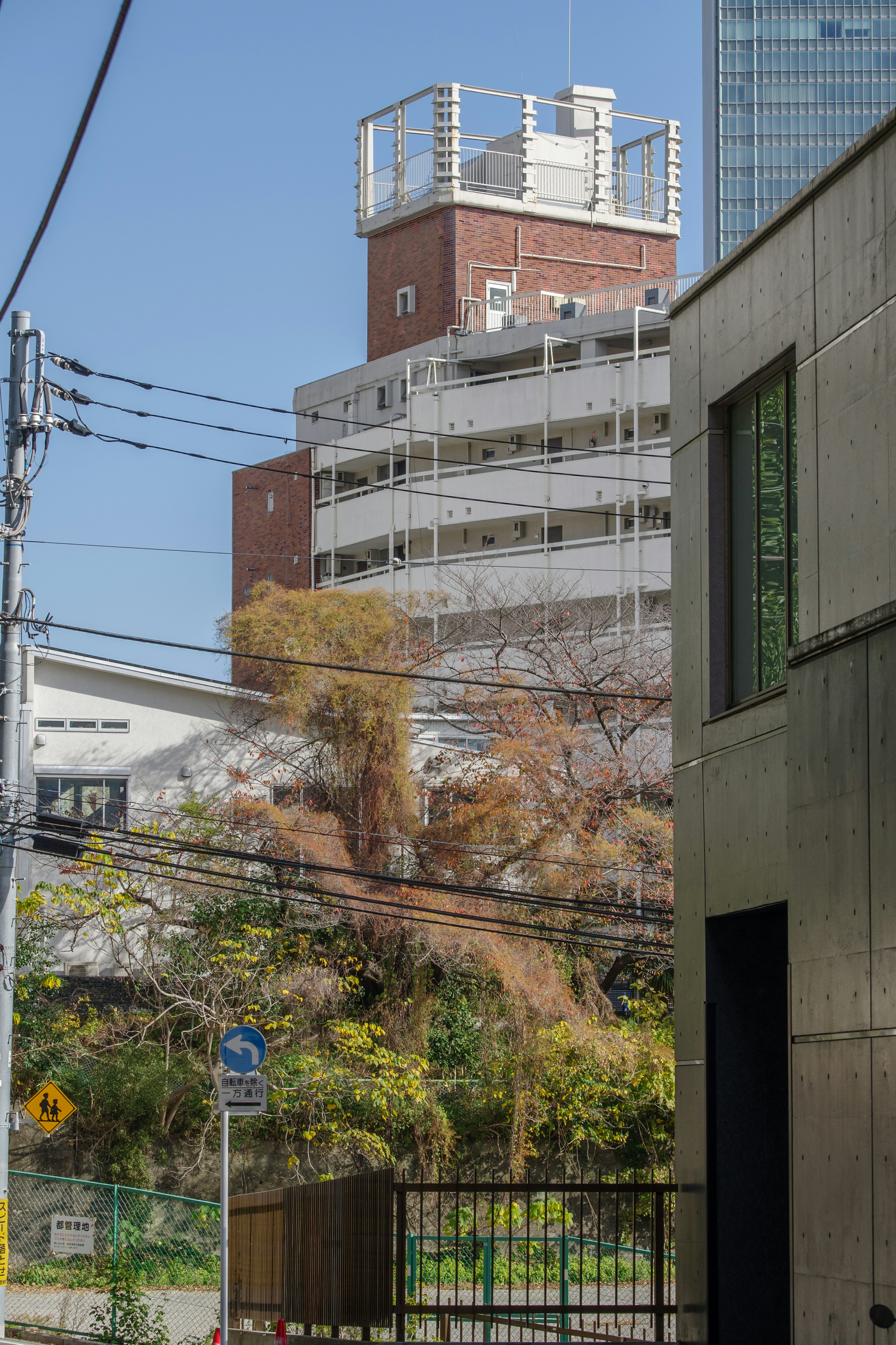 ビルと自然の調和が見える都市風景