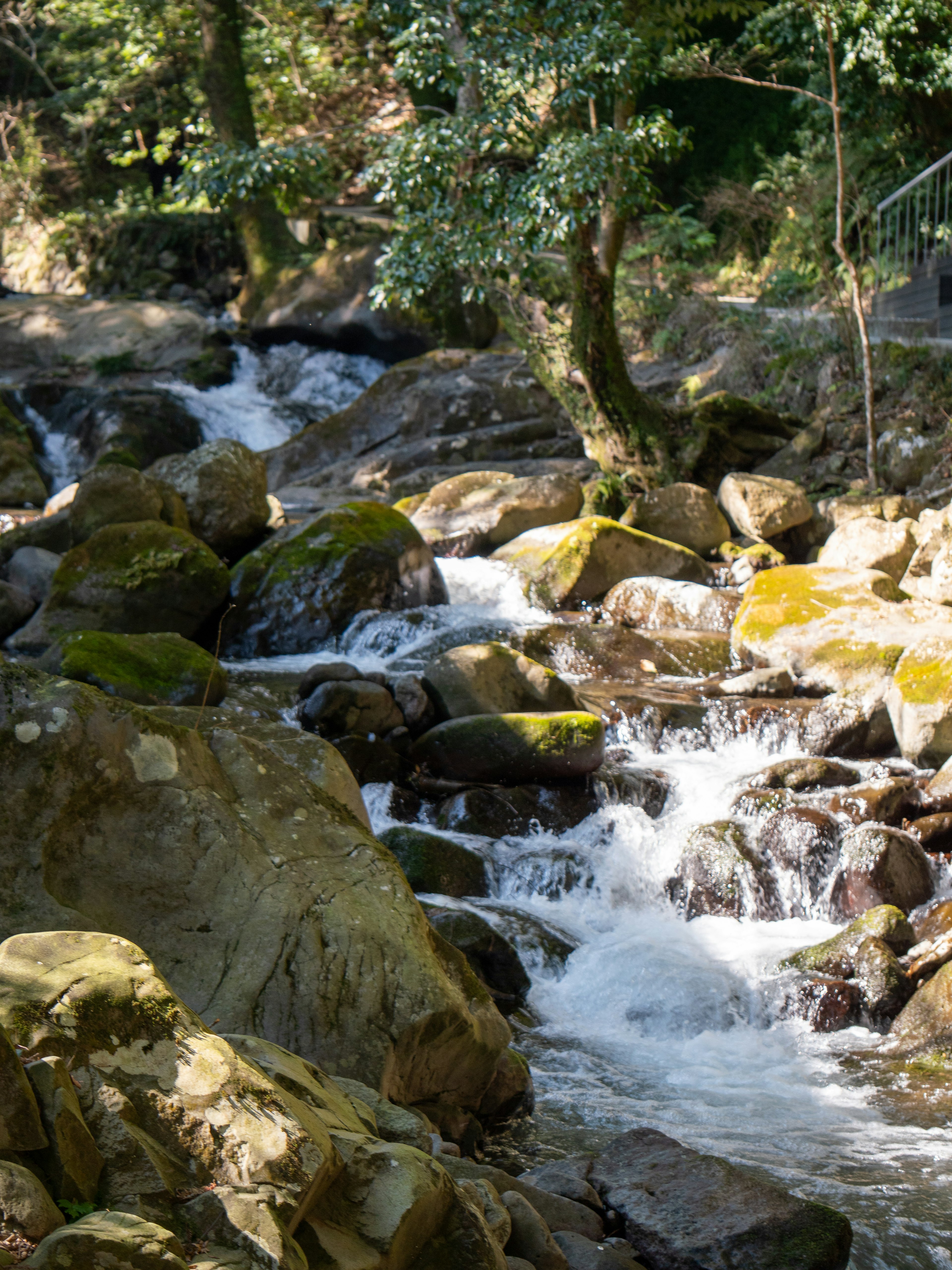 Sungai jernih mengalir di atas batu dikelilingi oleh pepohonan lebat menunjukkan keindahan alam