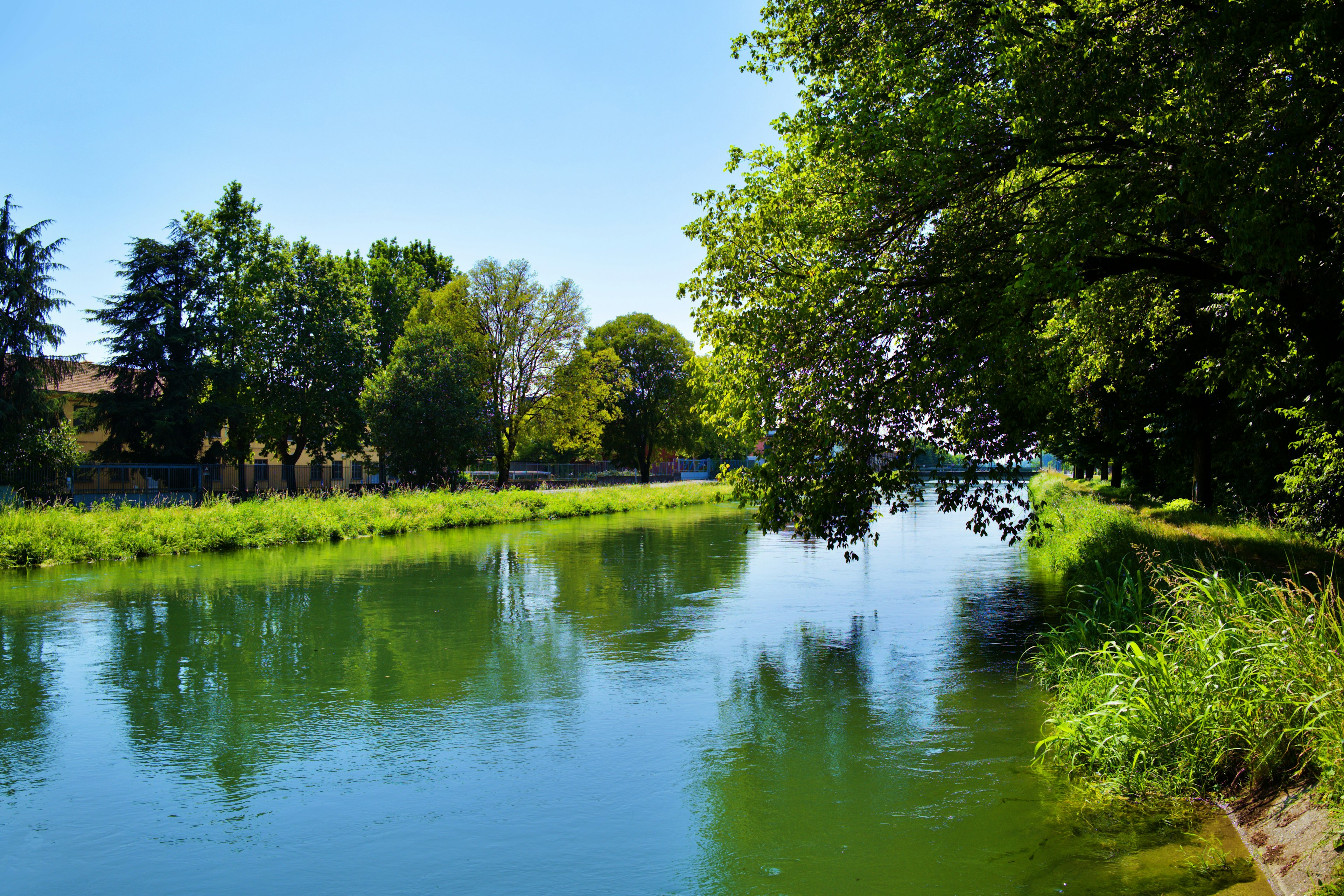 Tranquil river scene with lush greenery and clear blue sky