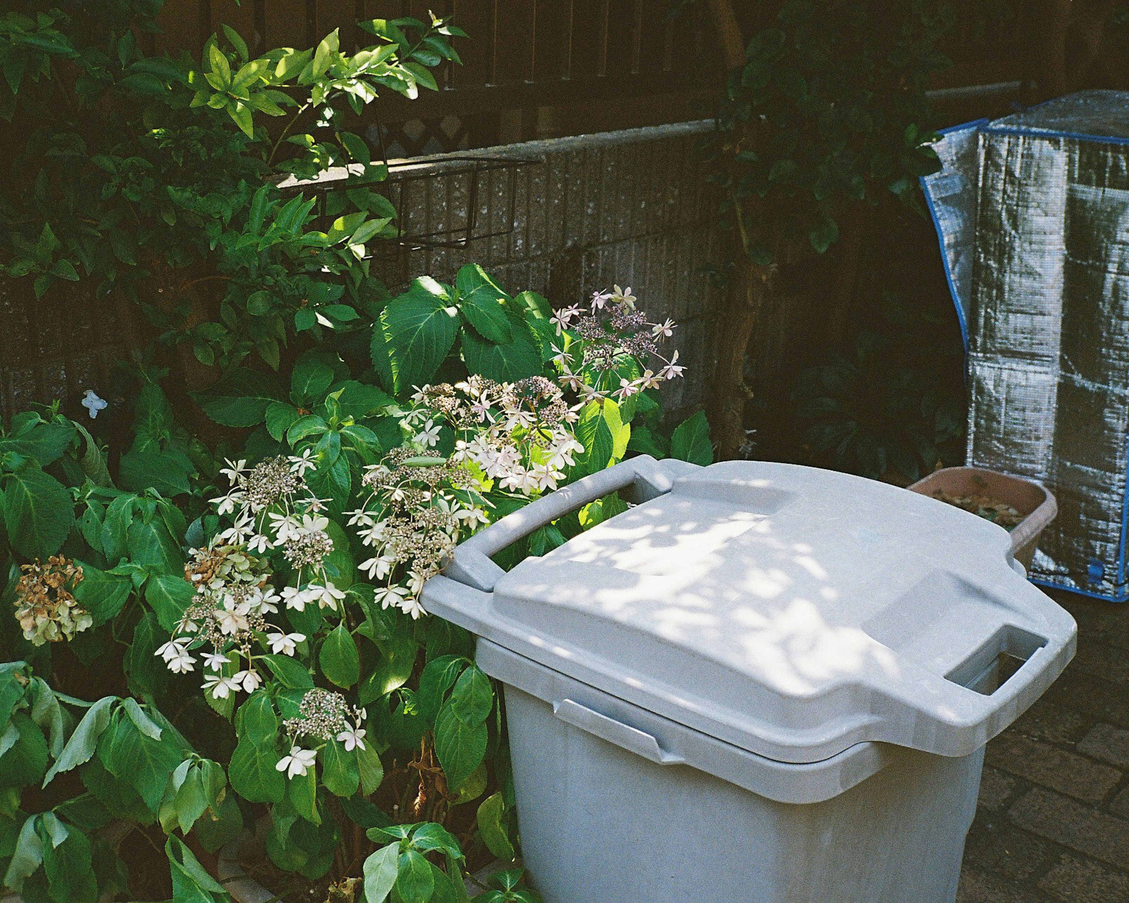 Un bote de basura blanco junto a plantas verdes y flores blancas