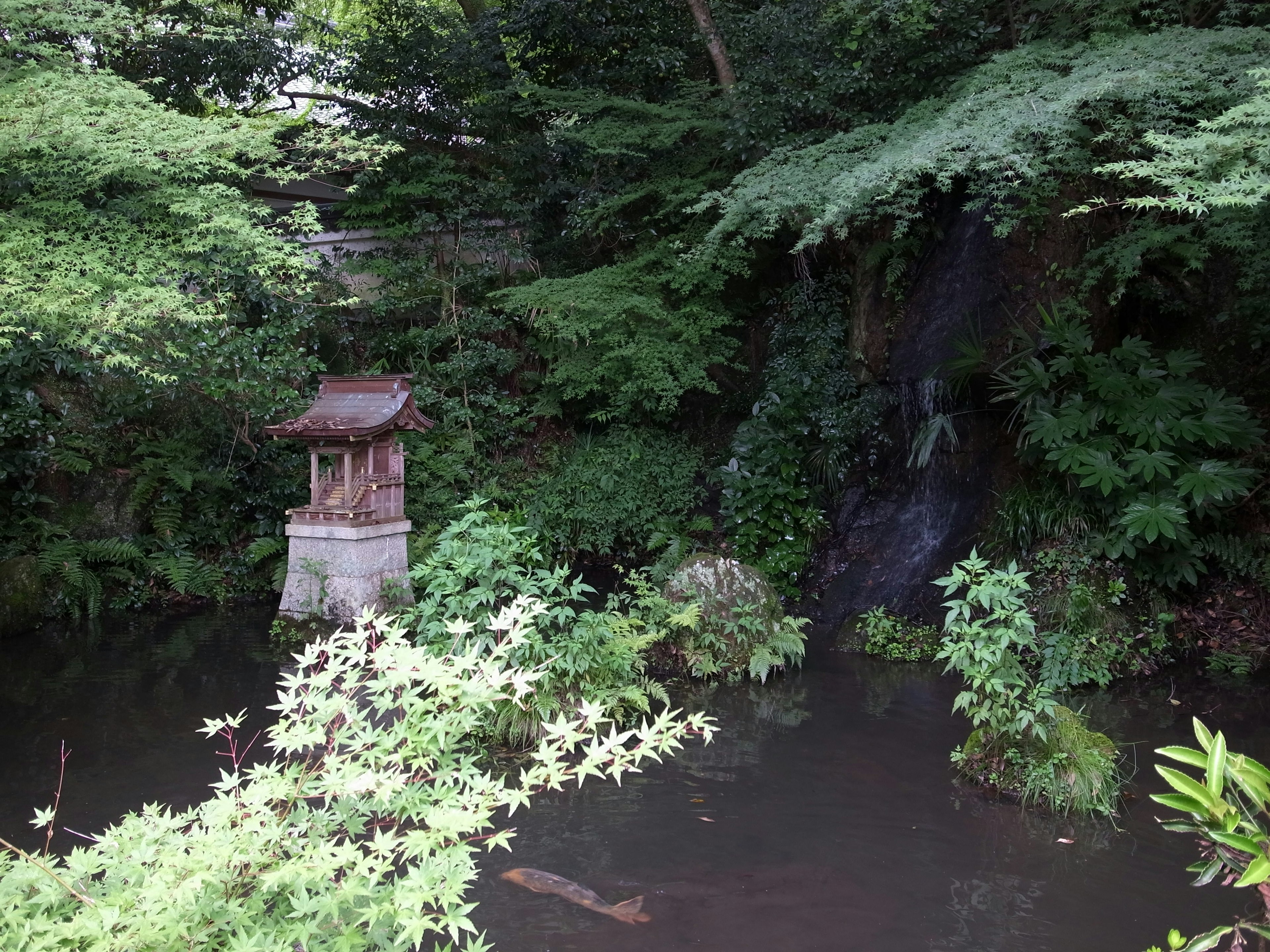 Tranquil pond surrounded by lush greenery with a small wooden structure