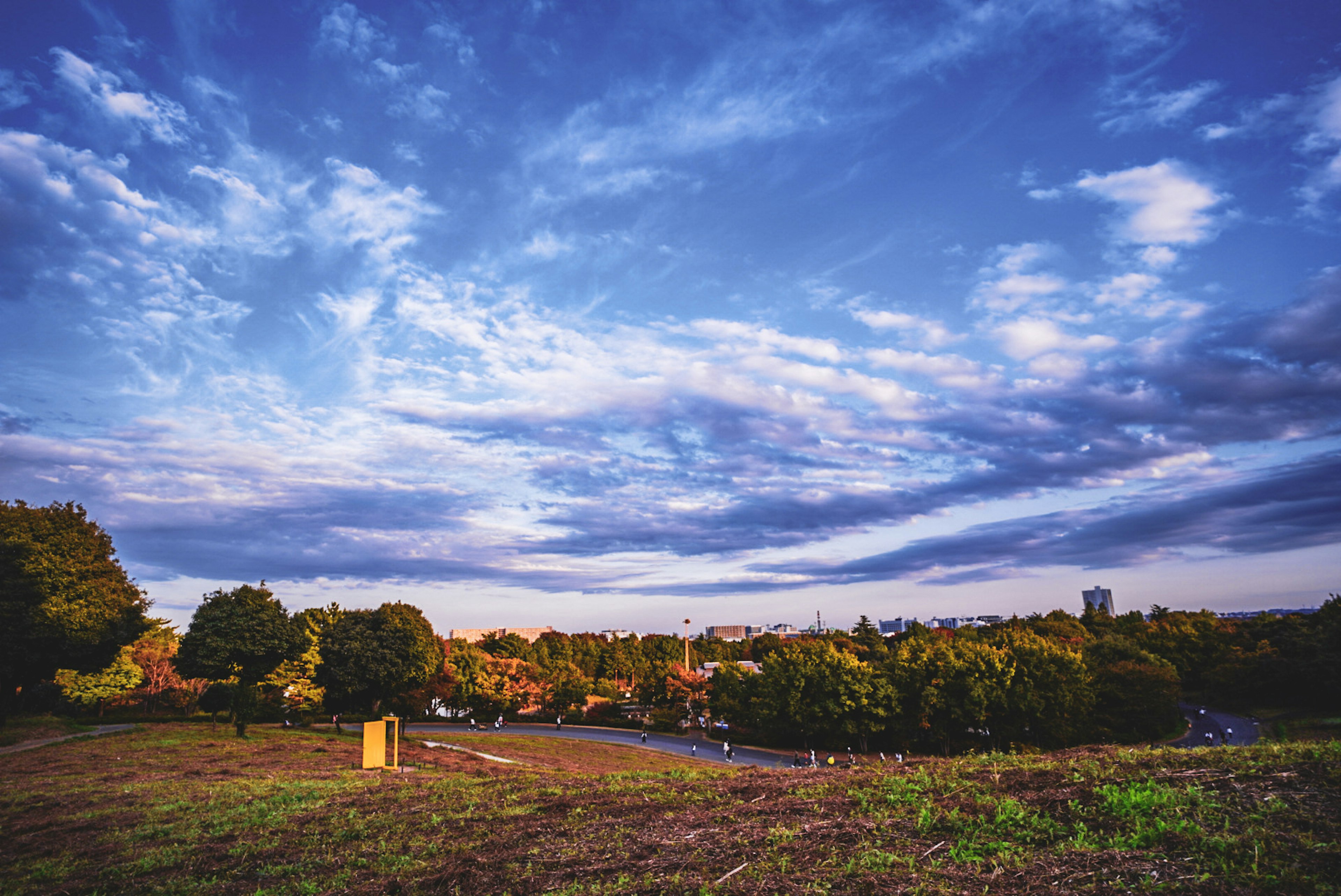 Paesaggio con cielo blu e nuvole bianche alberi verdi e colline