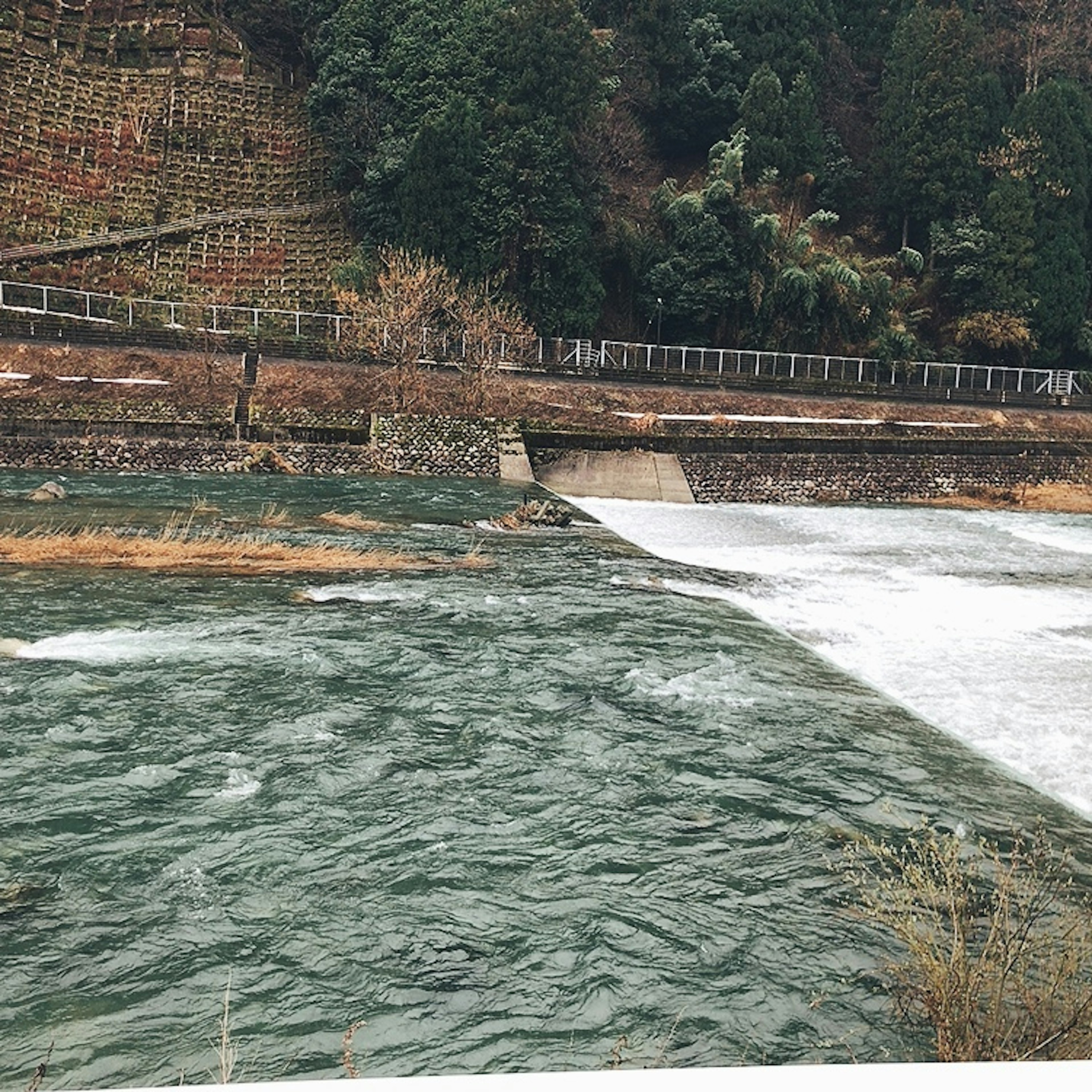 Gambar sungai dengan air mengalir dan pohon hijau di latar belakang