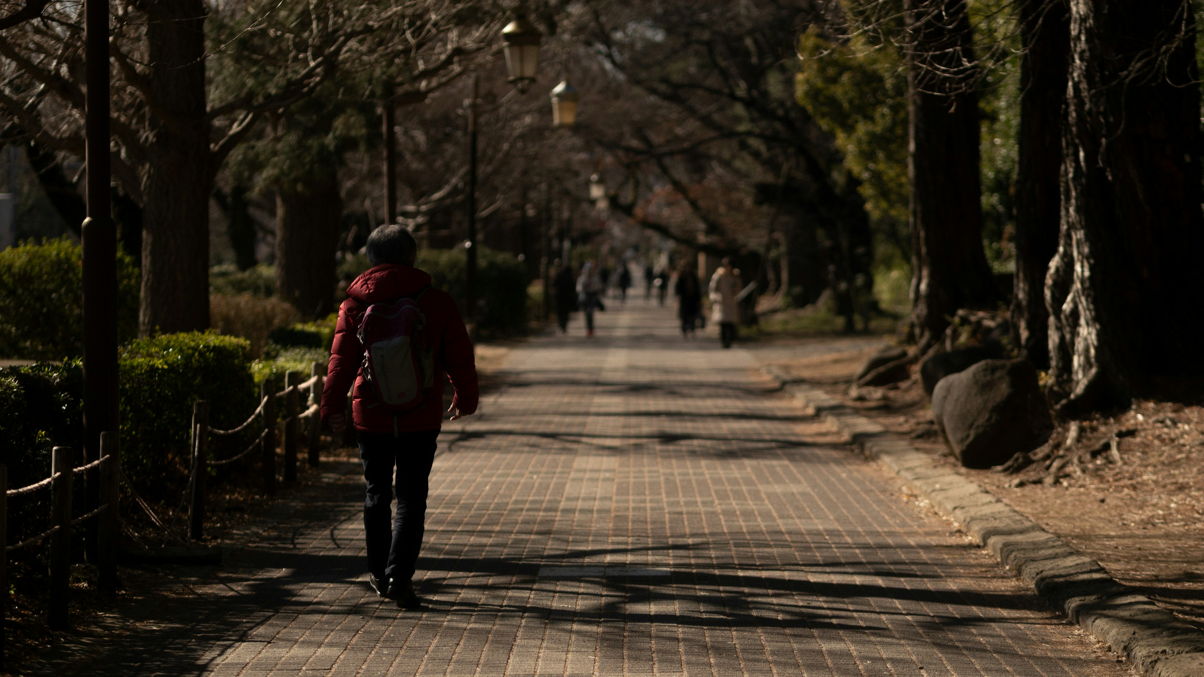 Una persona caminando por un sendero del parque rodeado de árboles y gente