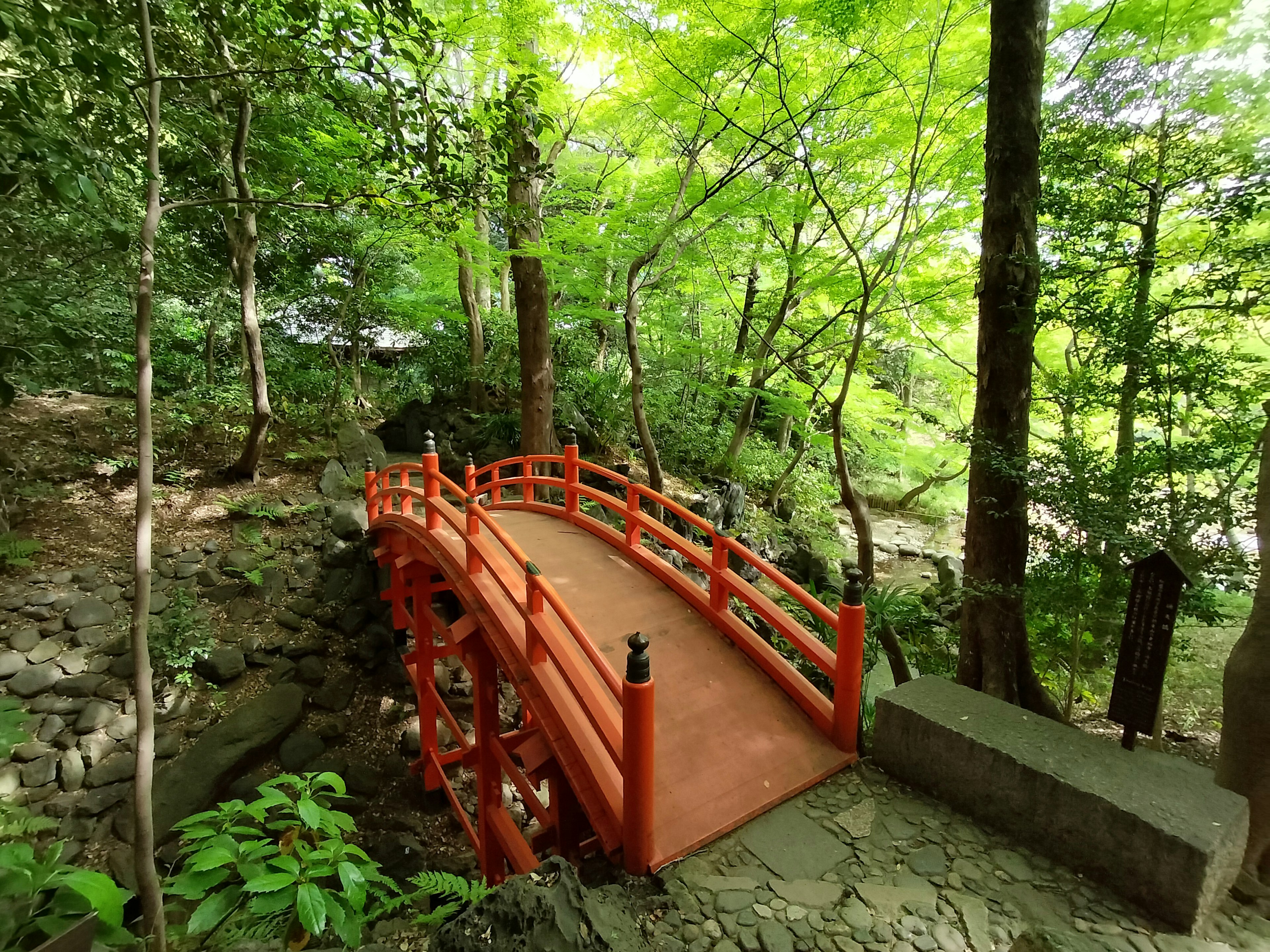 A scenic view of a red bridge surrounded by green trees