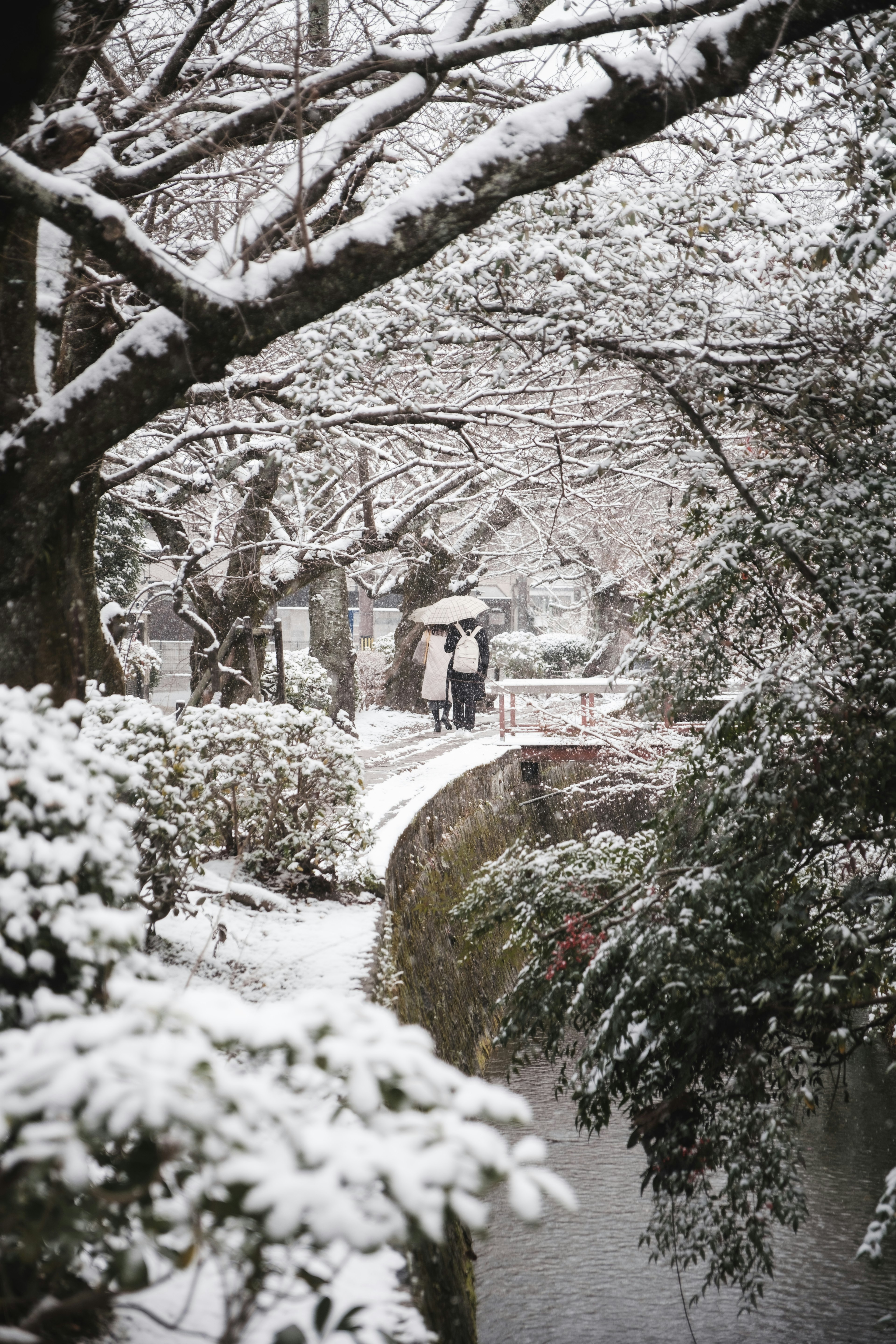 Snow-covered riverside landscape with trees and a person walking