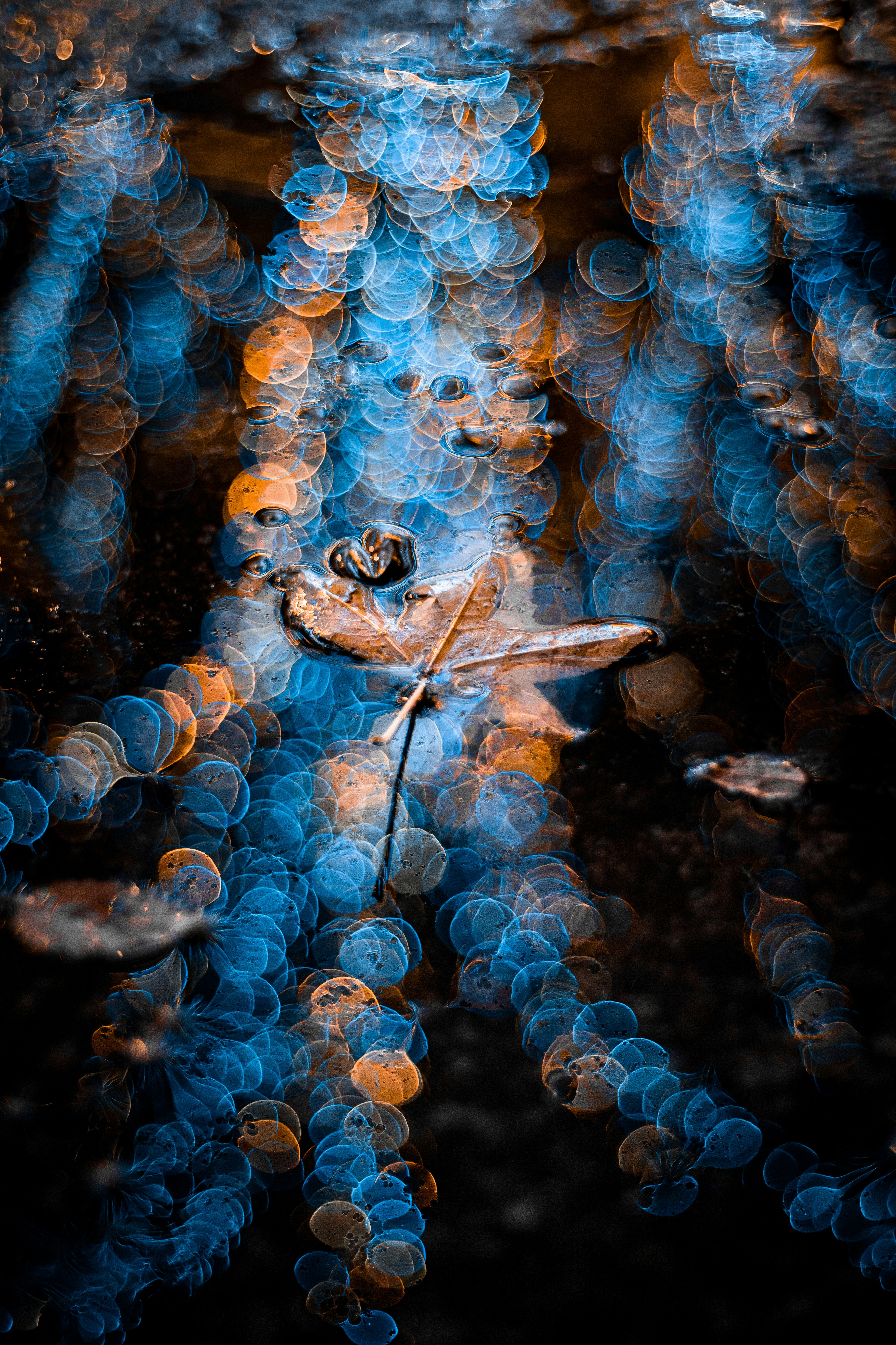 Eine schöne Landschaft mit Blättern, die auf dem Wasser schwimmen und Reflexionen blauer Lichtpunkte