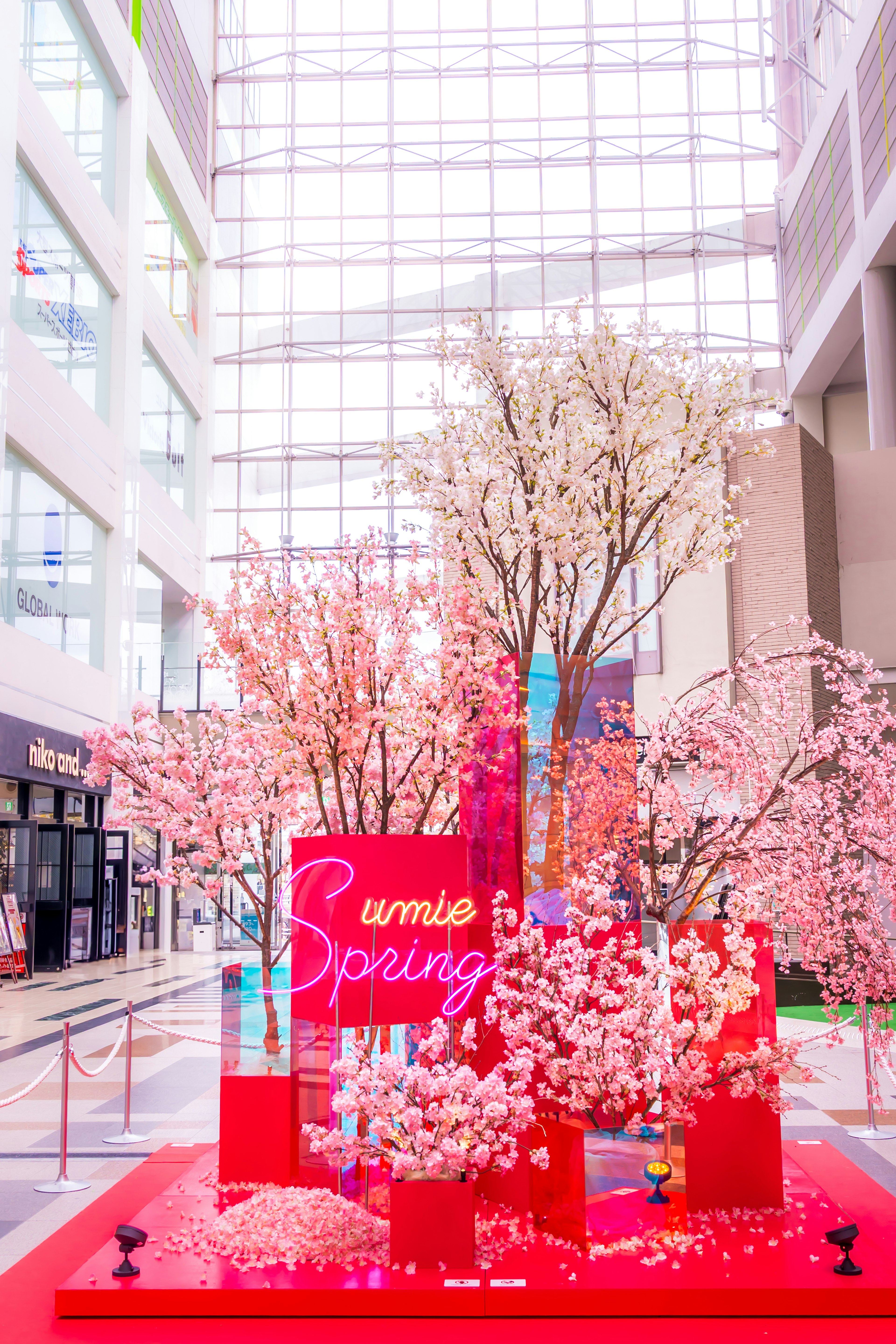 Esposizione decorativa a tema primaverile con alberi di ciliegio in uno spazio luminoso