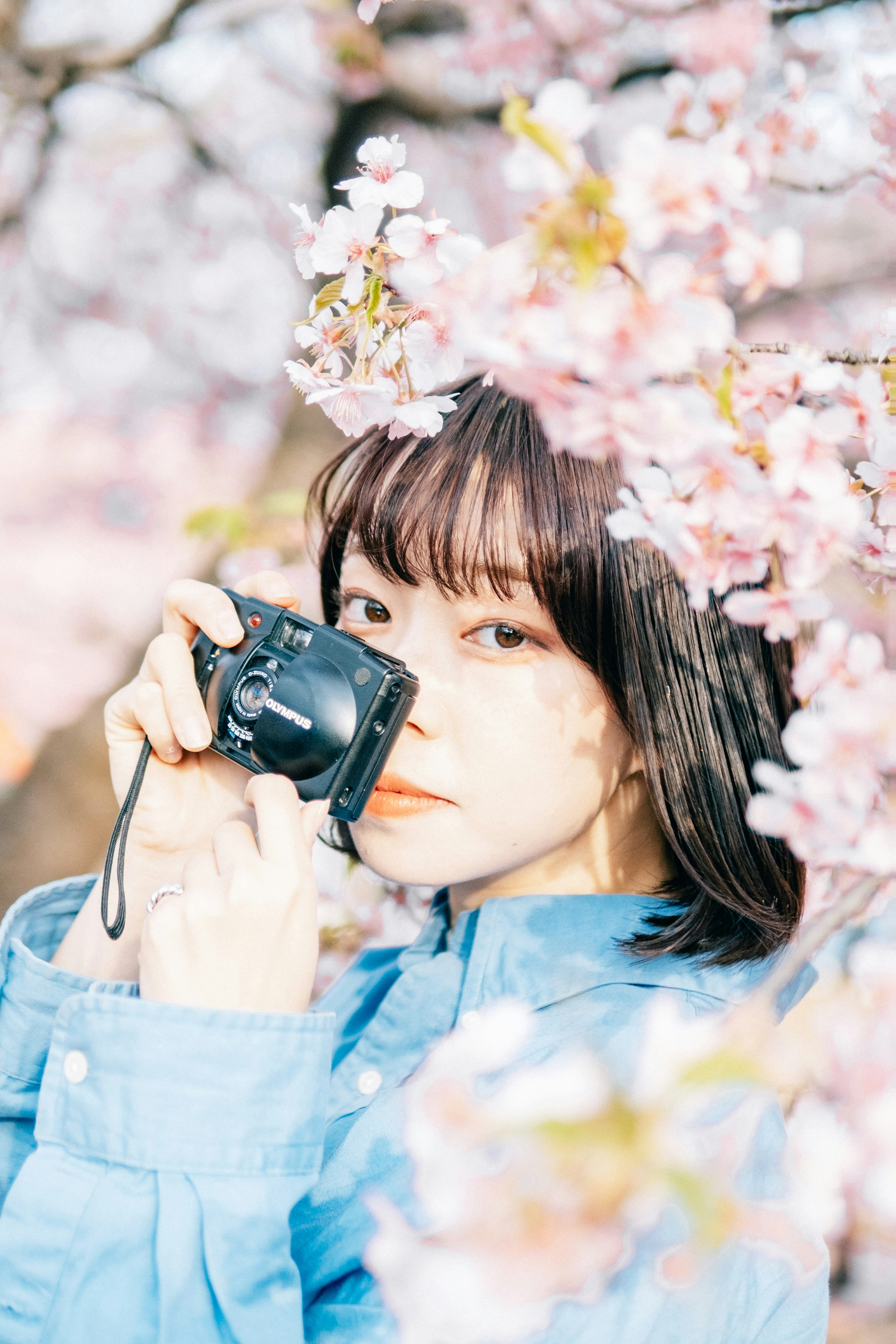 Woman holding a camera surrounded by cherry blossoms