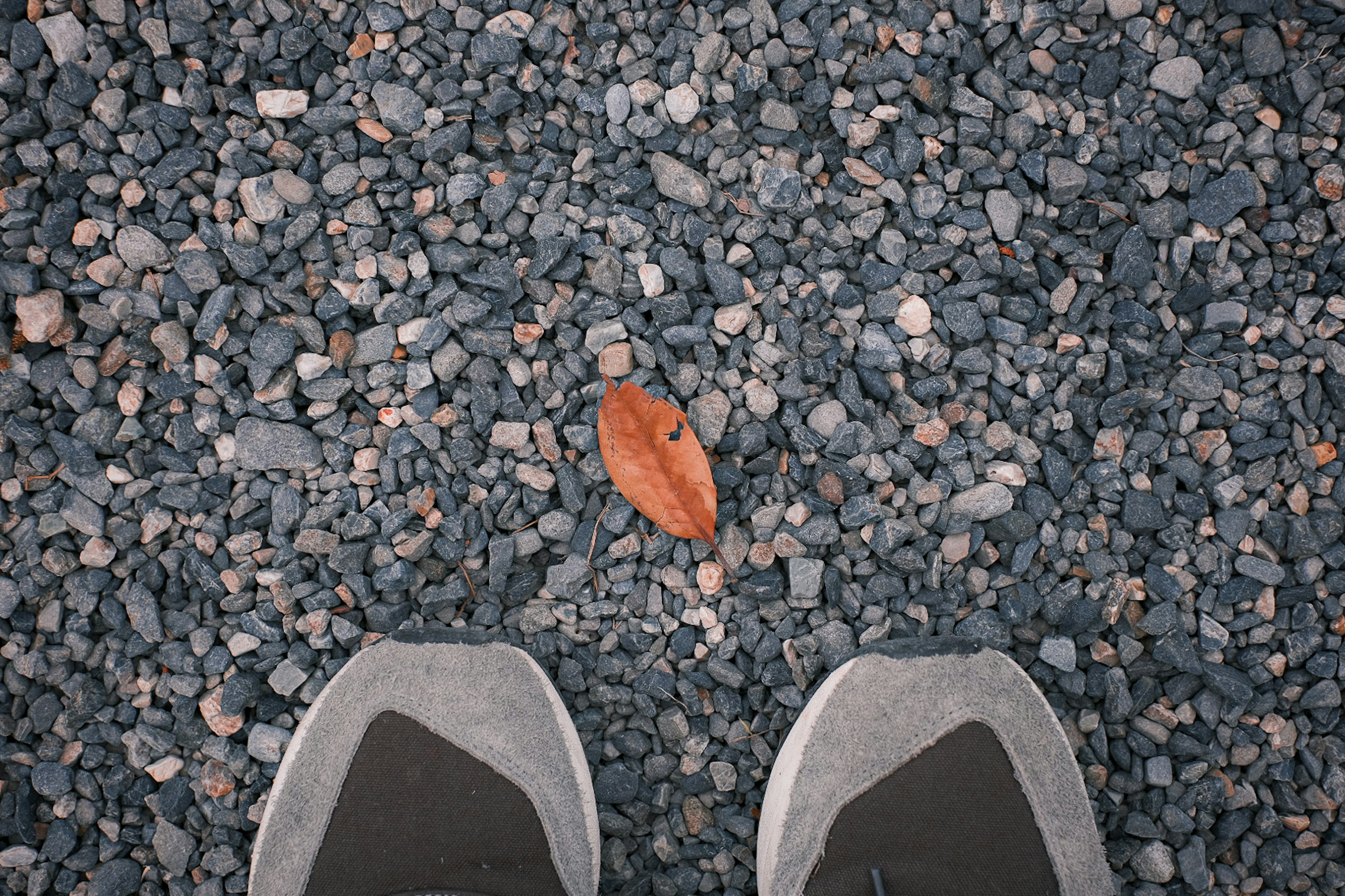 Zapatos grises sobre grava con una hoja marrón