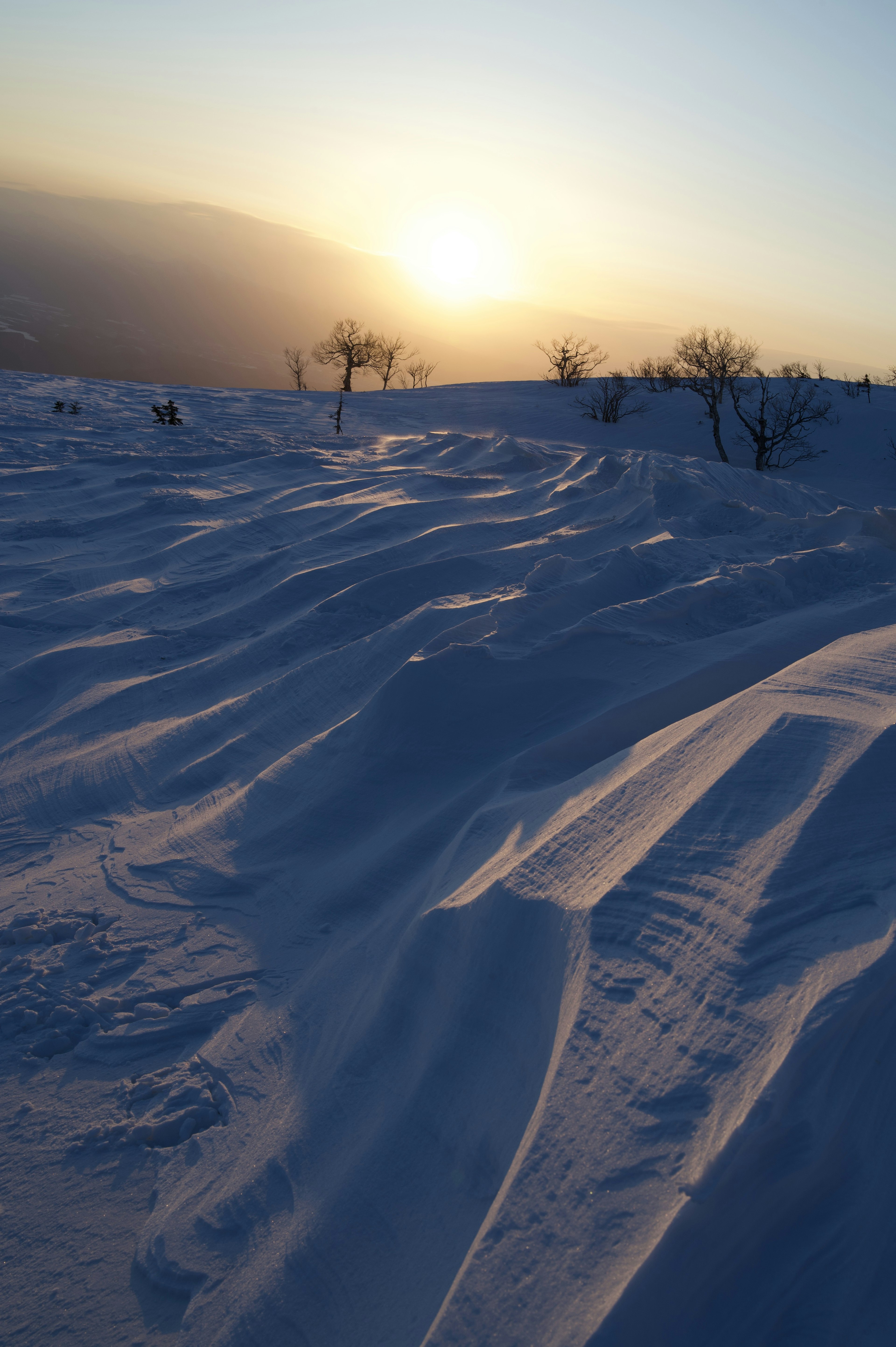 Collines enneigées avec un beau coucher de soleil