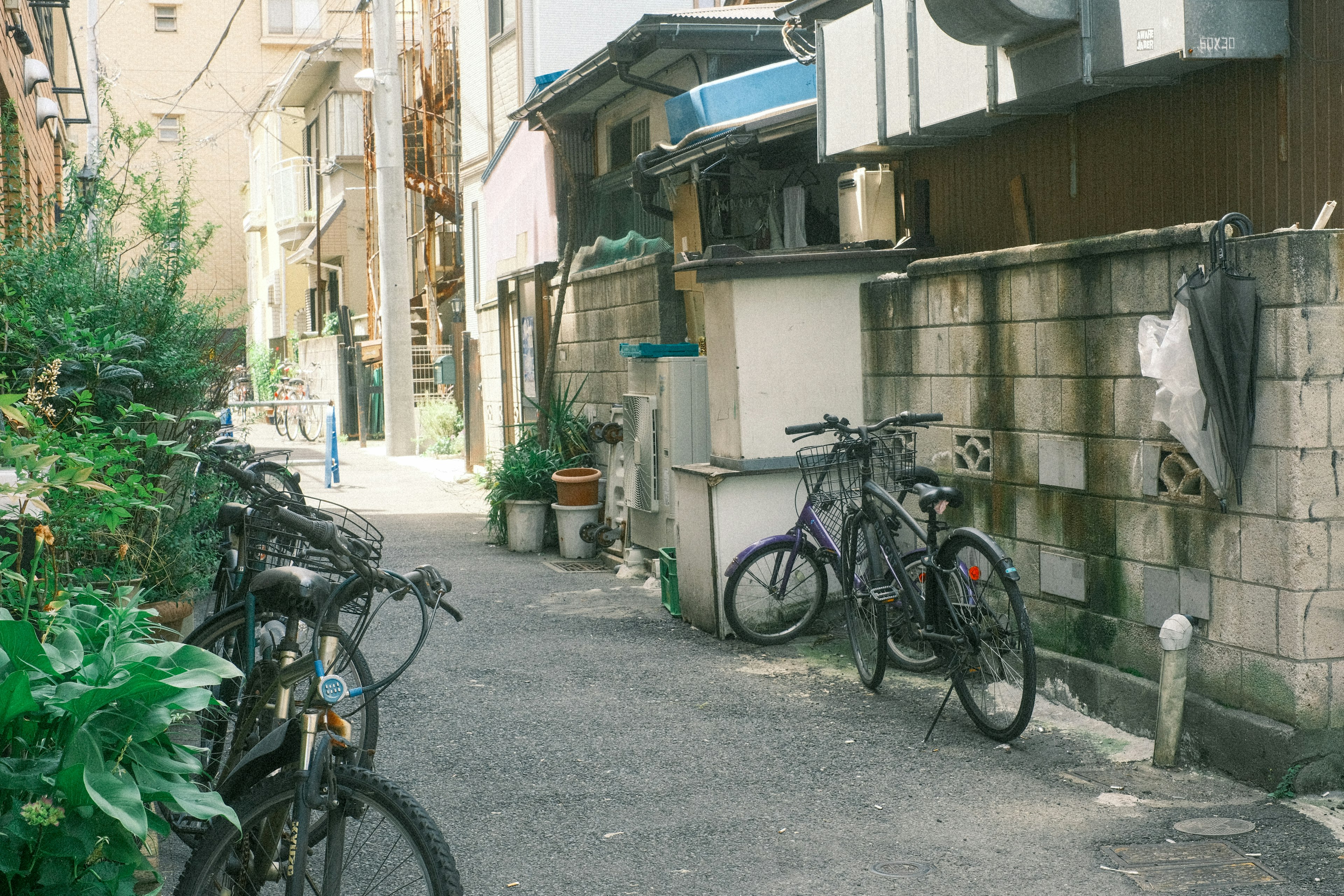 狭い路地に並ぶ自転車と植物のある風景