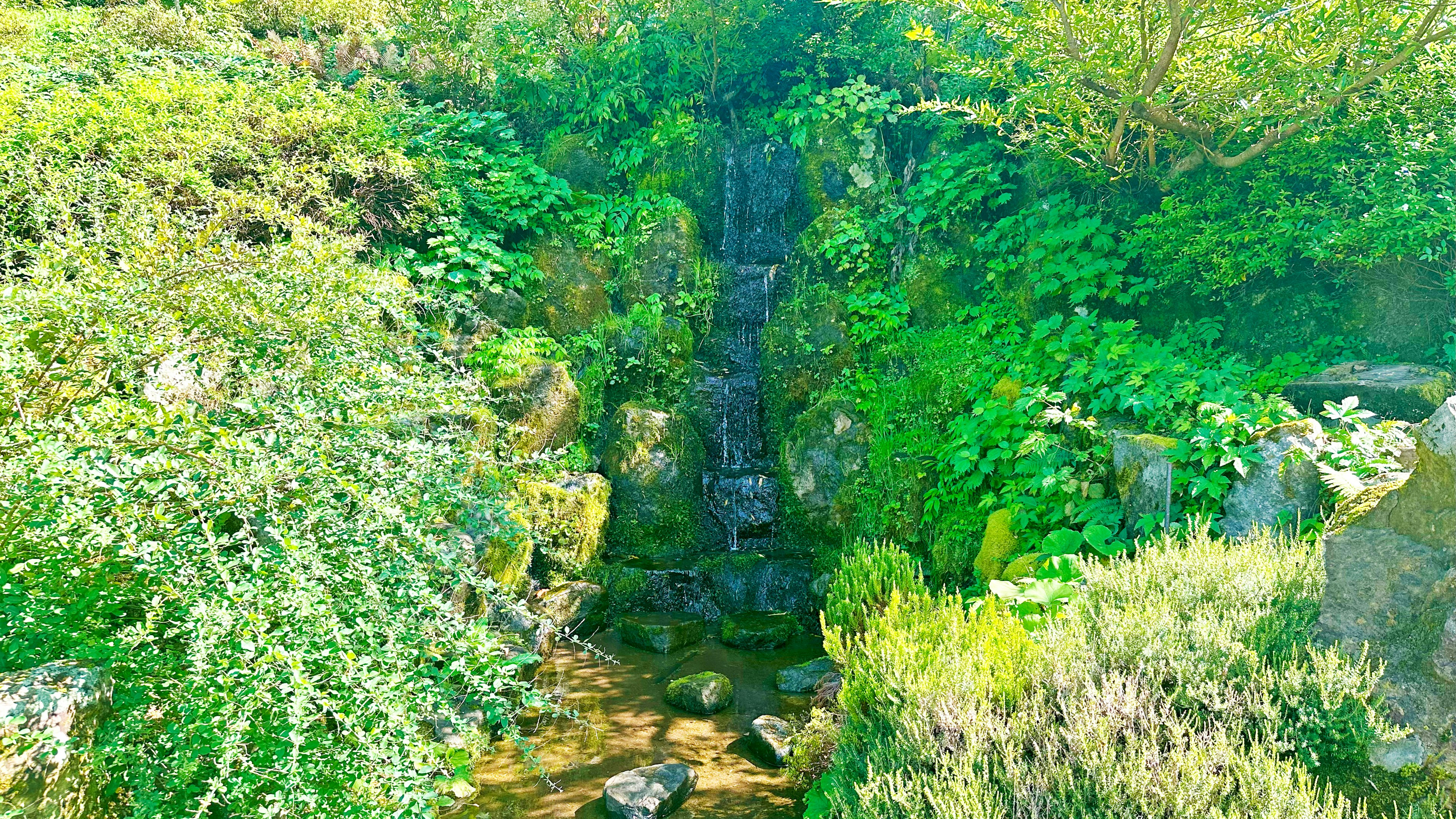 緑豊かな植物に囲まれた小さな滝と清流の風景