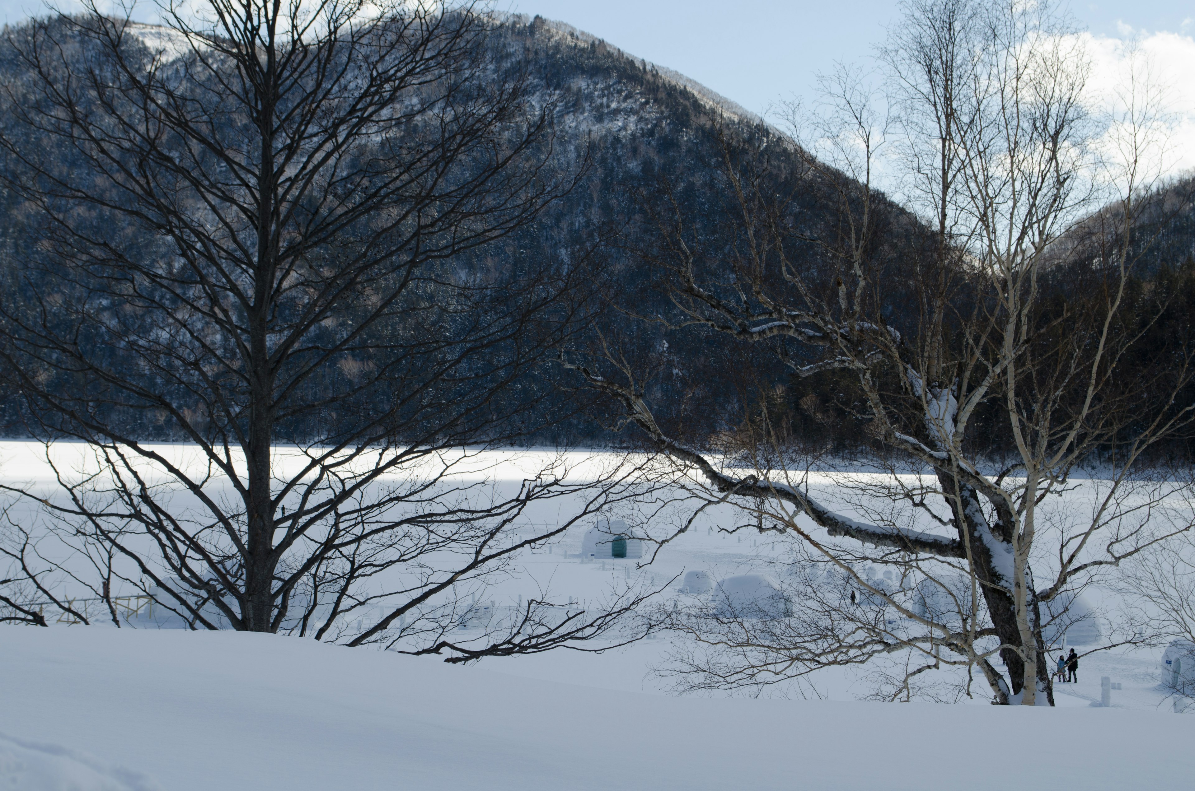 Snow-covered landscape with mountains in the background