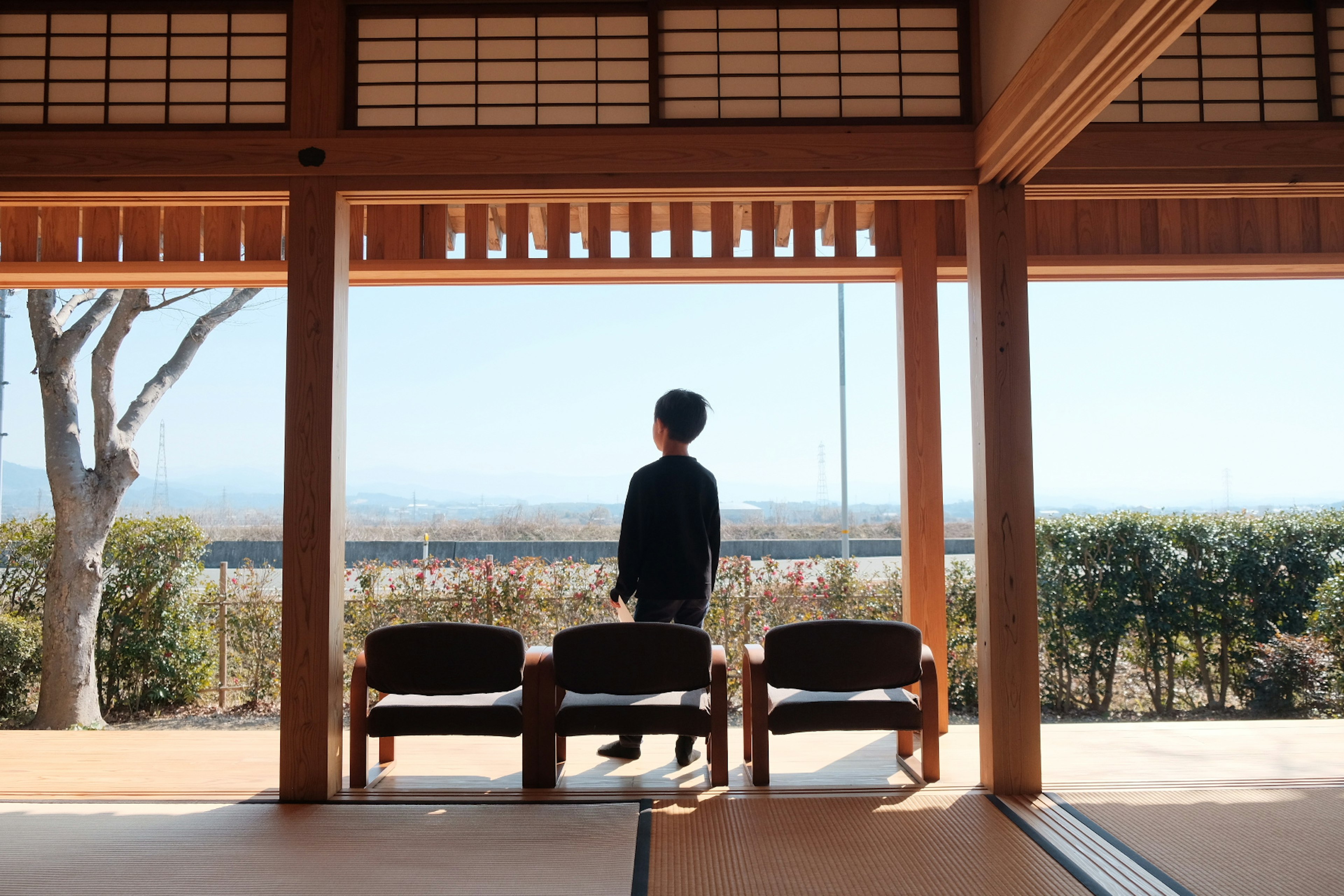 Una persona de espaldas en una habitación tradicional brillante mirando un paisaje sereno