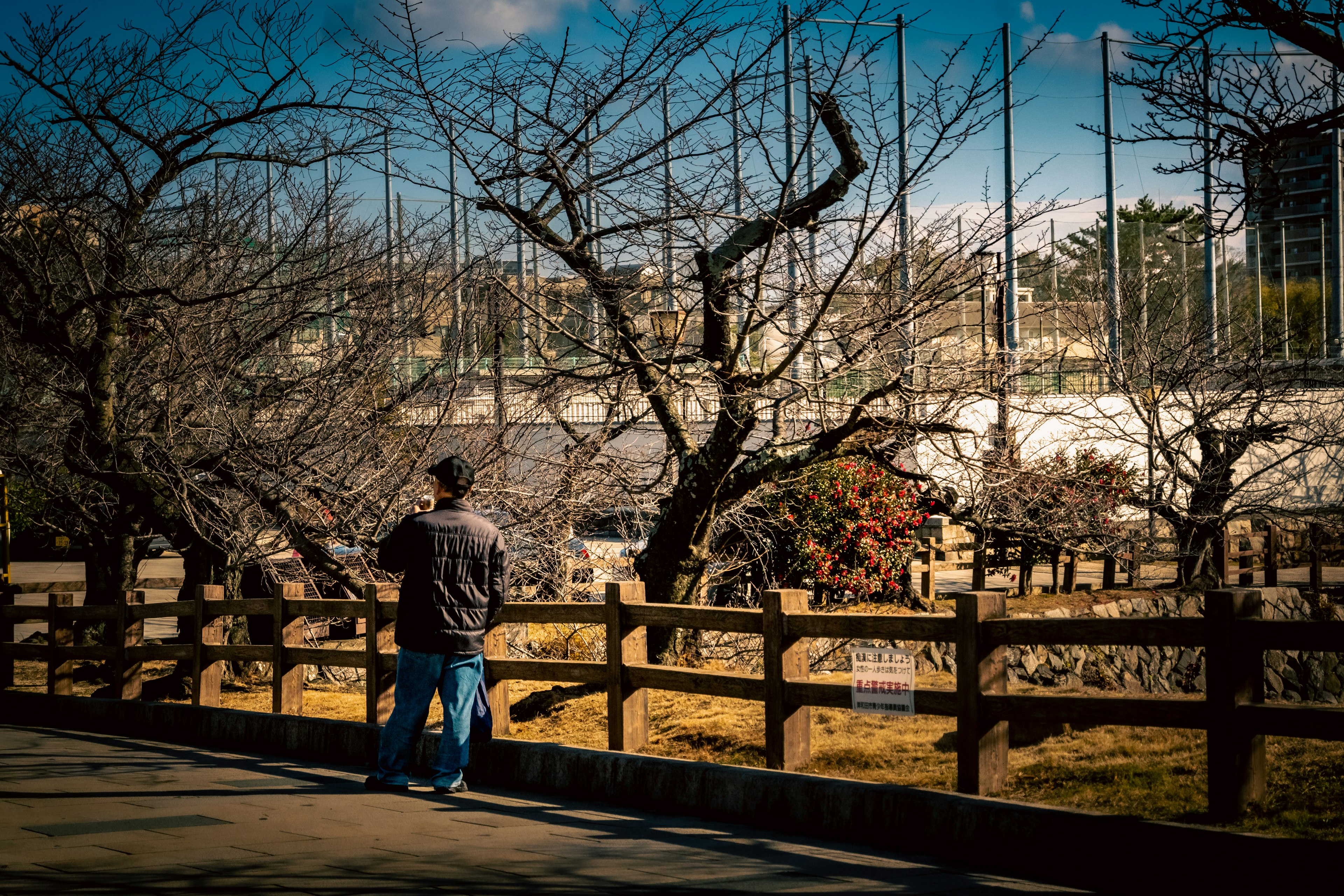 Un homme regardant un parc avec des arbres nus et une clôture en bois