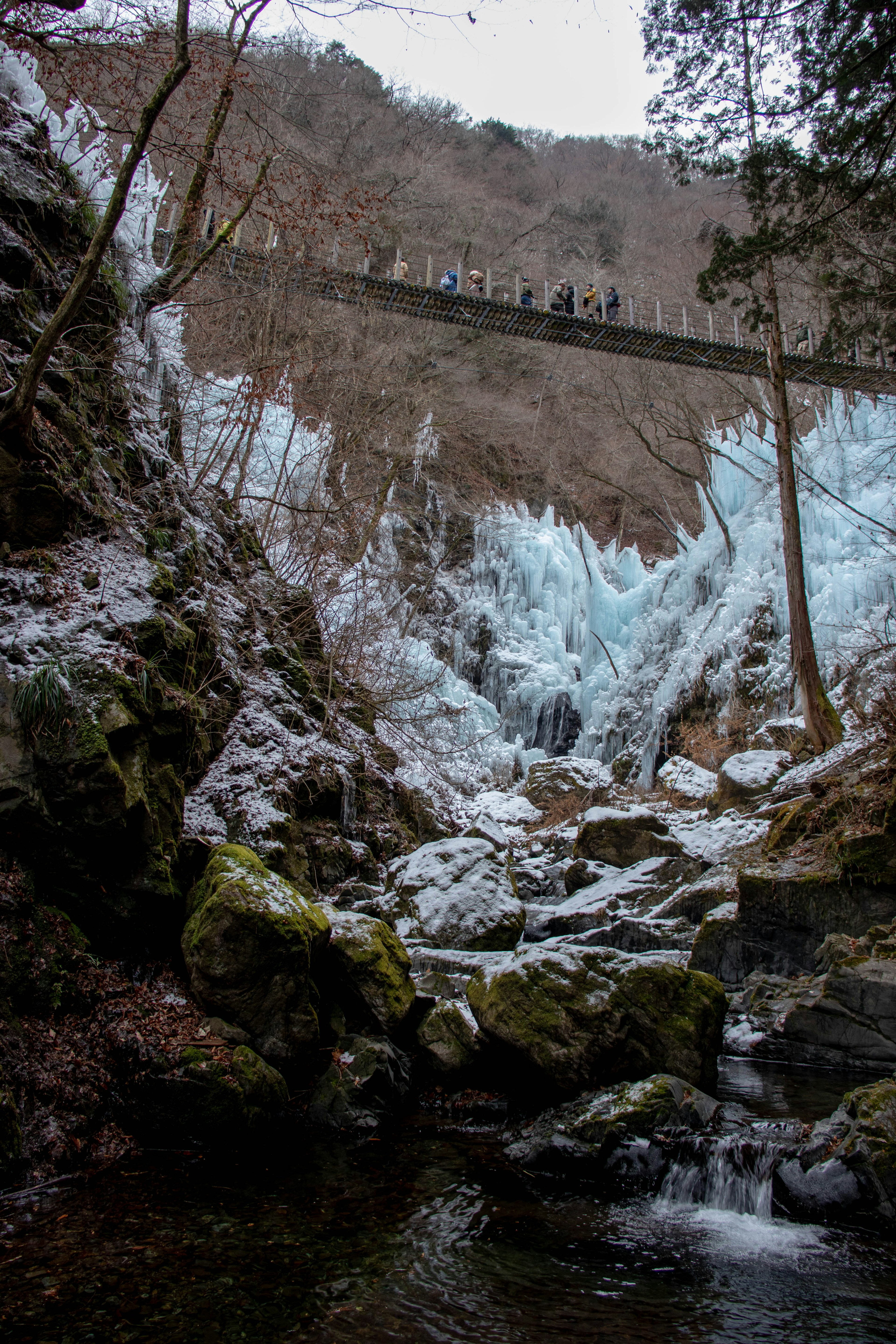 美丽的峡谷景观，特写积雪覆盖的瀑布和冰块