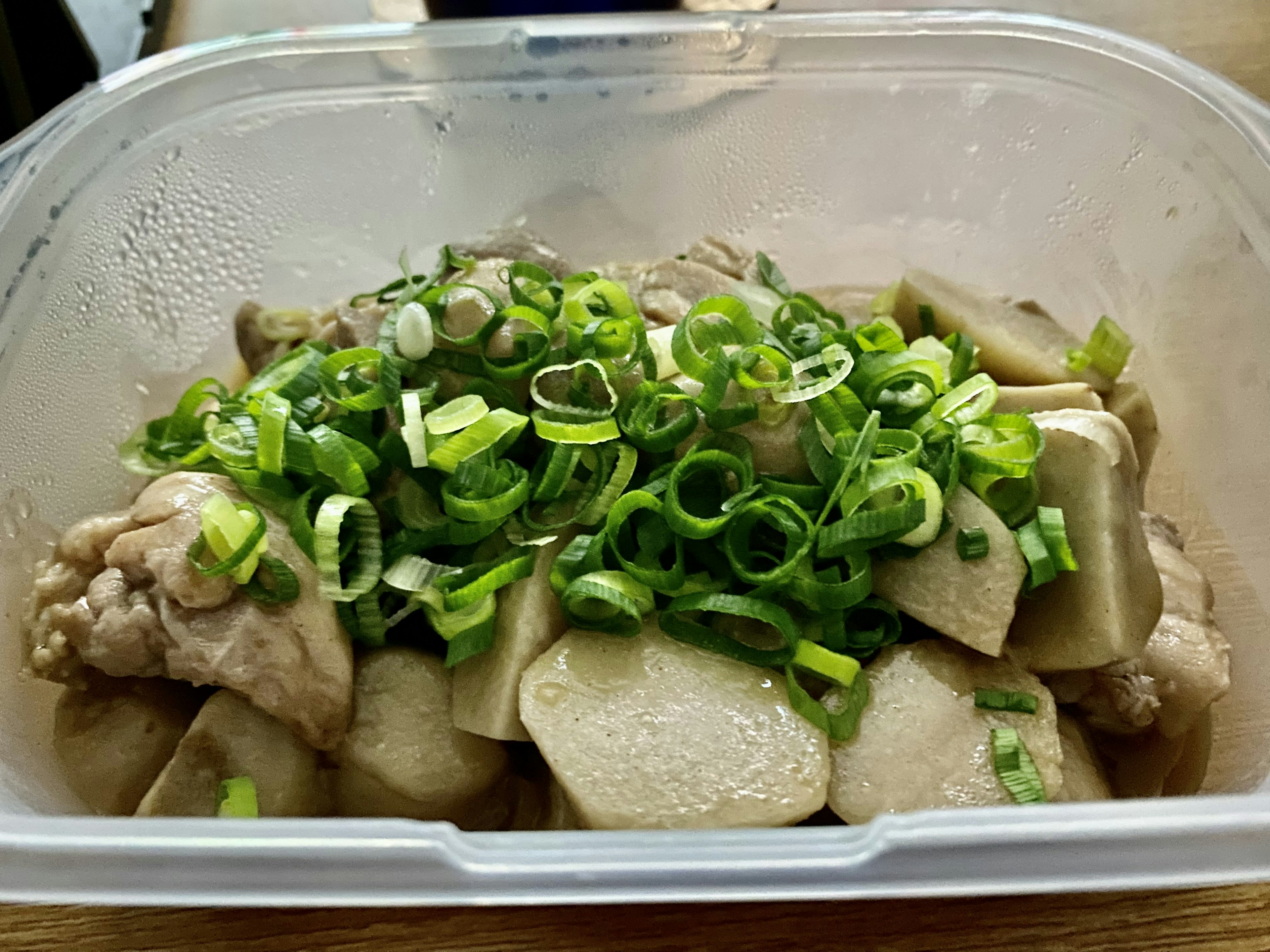 Dish of chicken and green onions in a plastic container