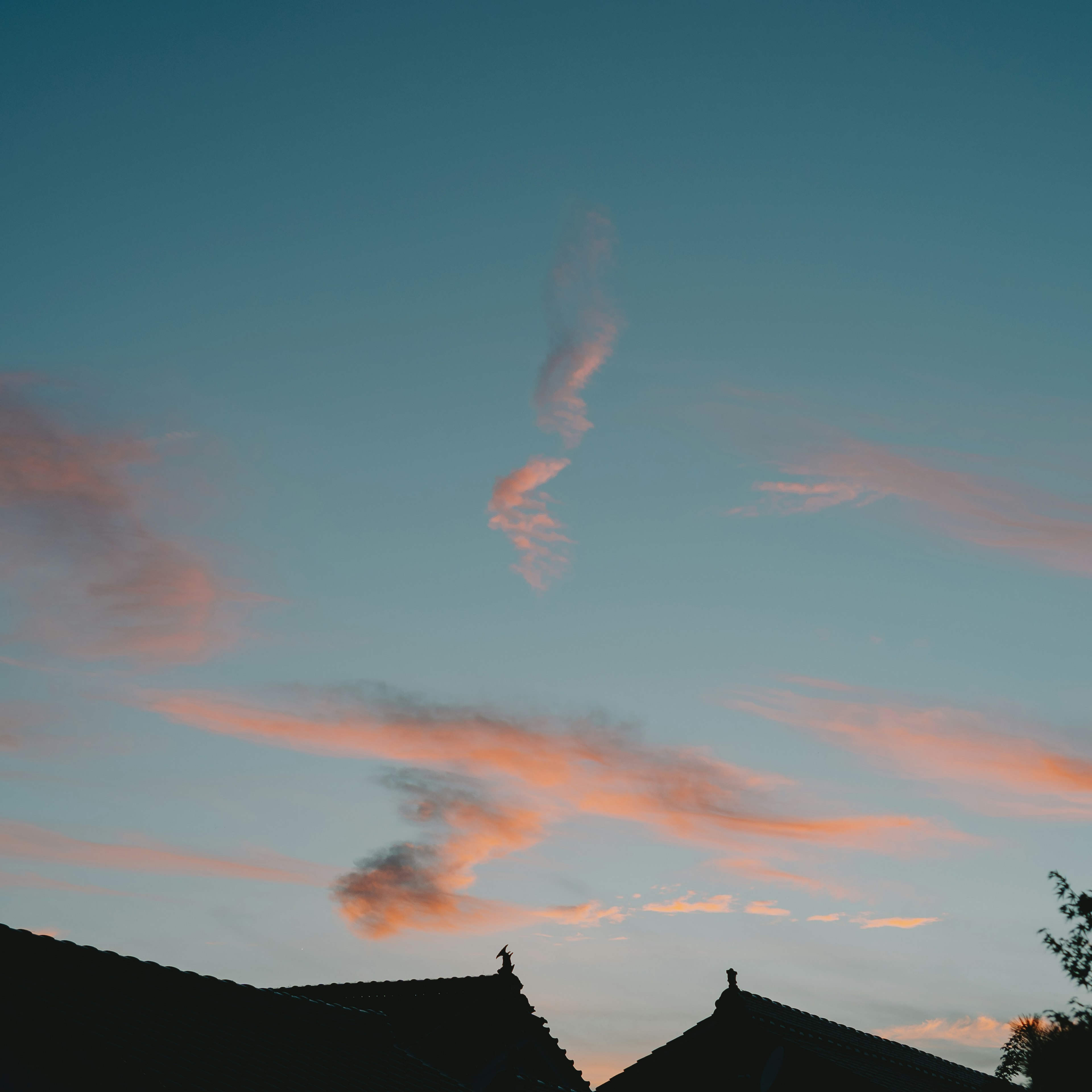 Silhouette of rooftops against a sunset sky with wispy clouds