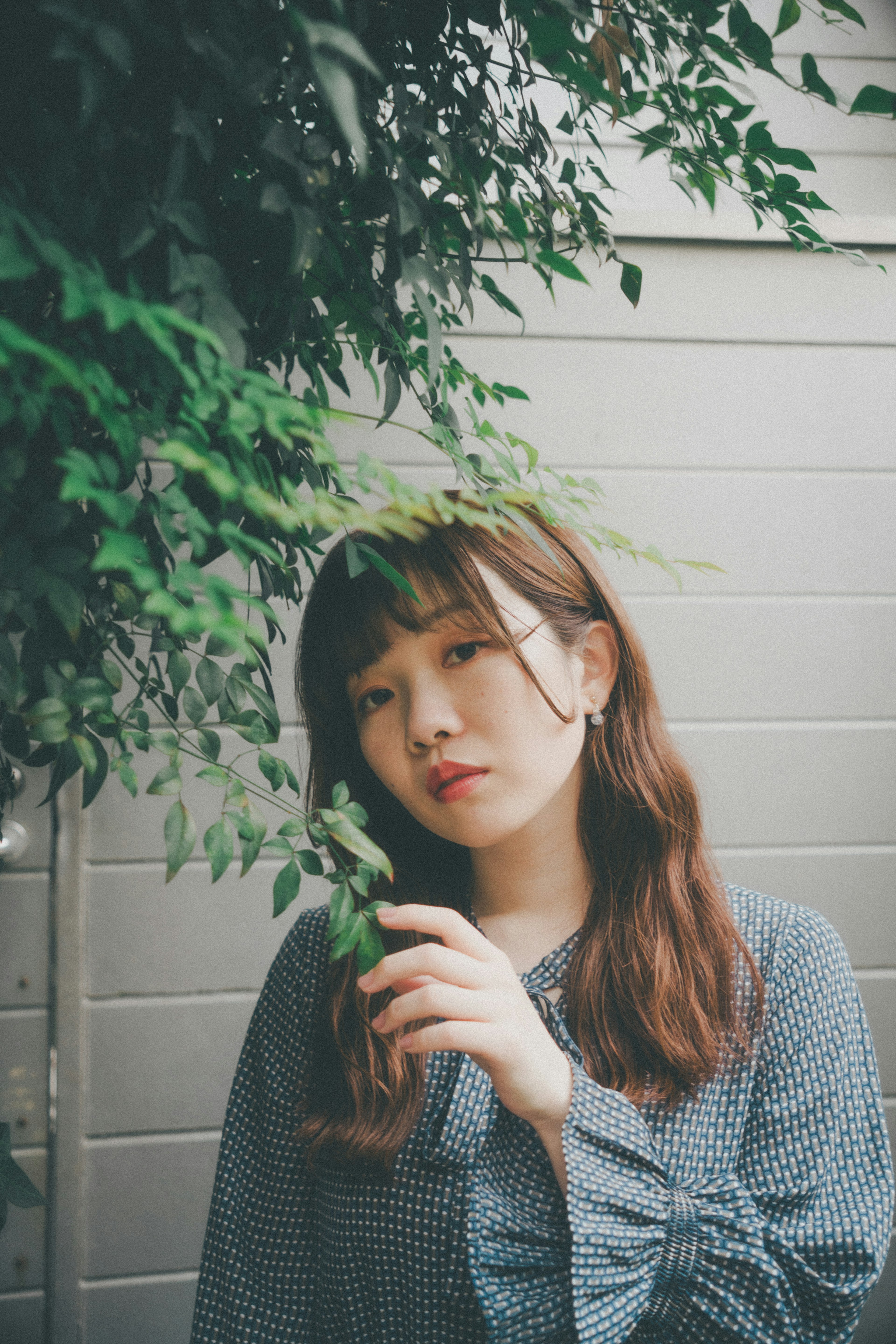 Portrait of a woman holding a green plant