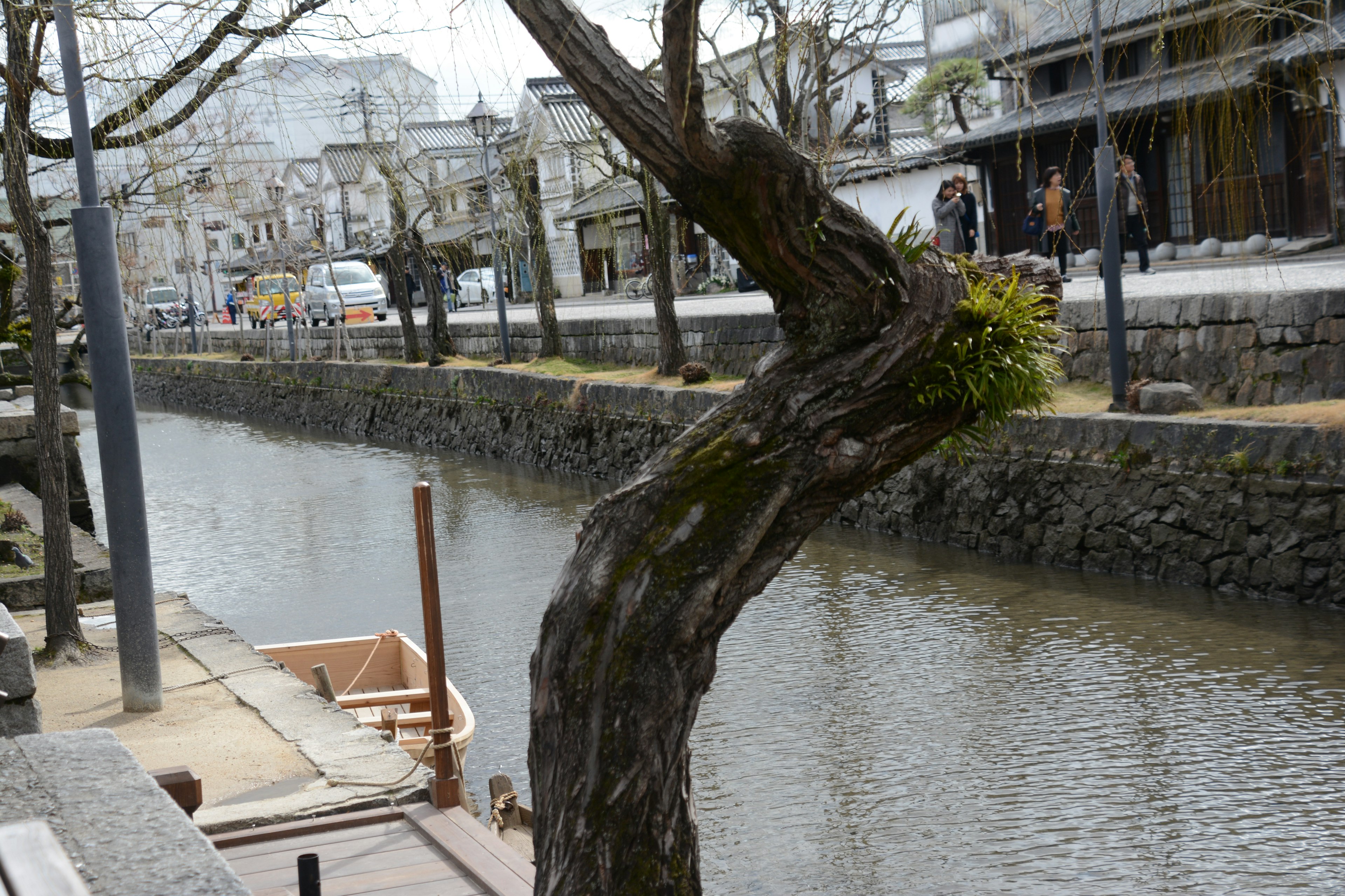 曲がった木と静かな水路が見える風景