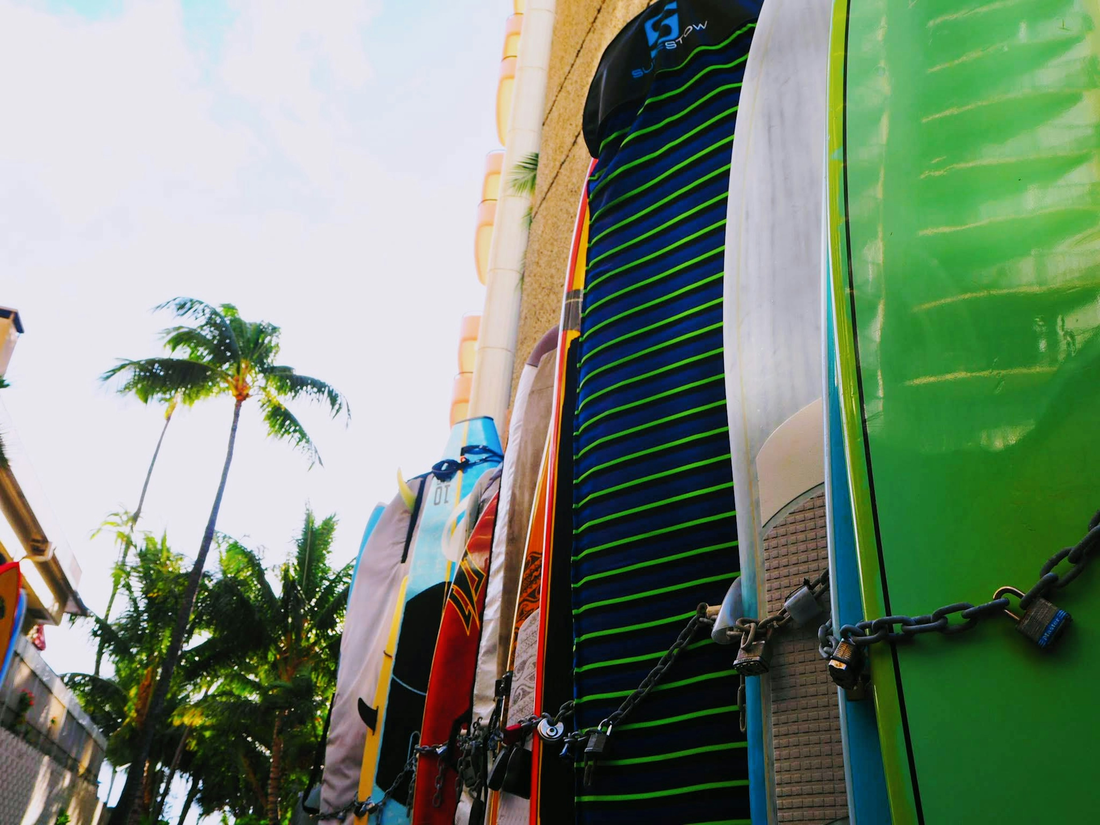 Tablas de surf coloridas alineadas contra una pared con palmeras al fondo