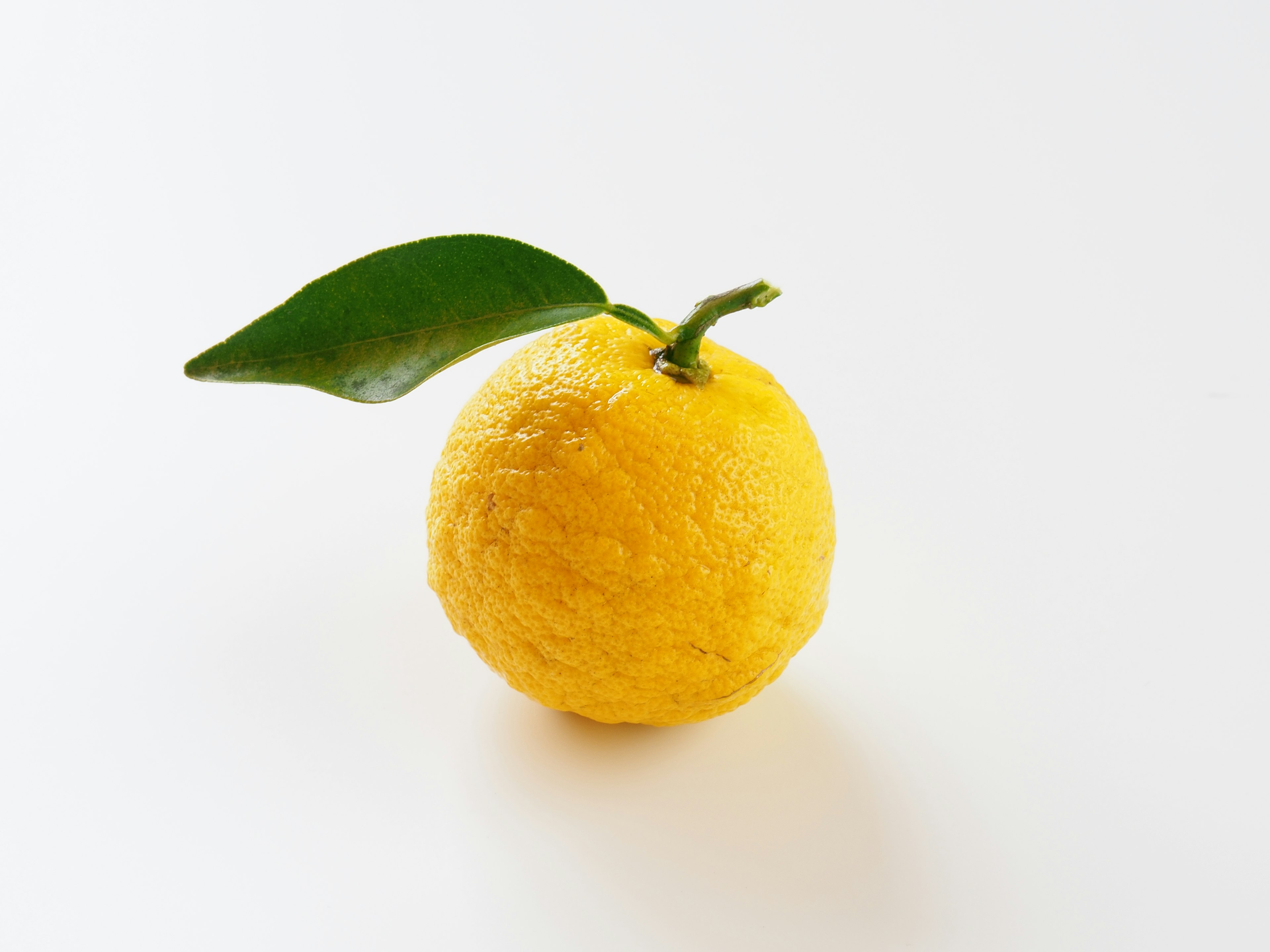 Yellow citrus fruit with a green leaf