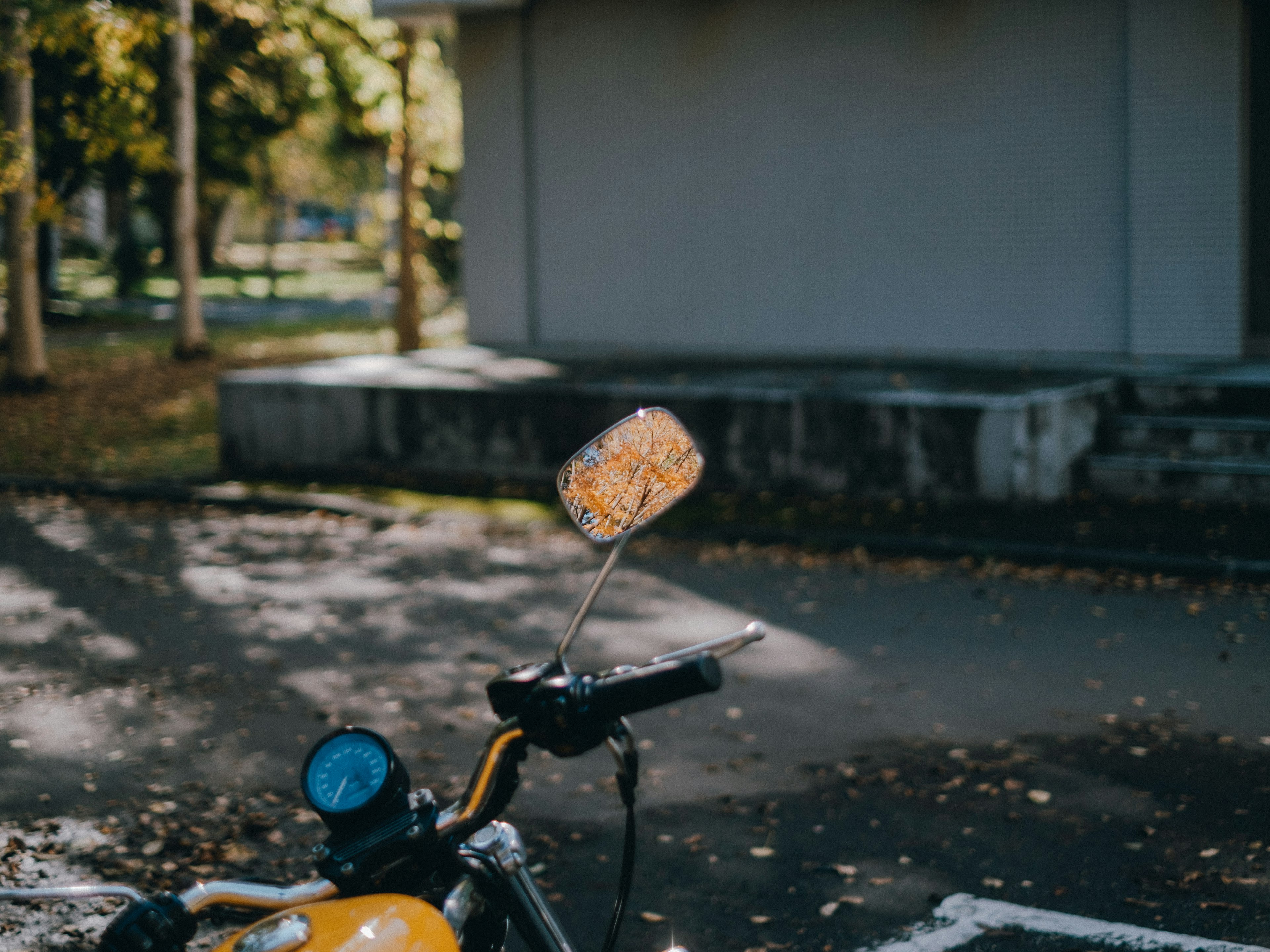 Miroir de moto jaune reflétant le paysage automnal