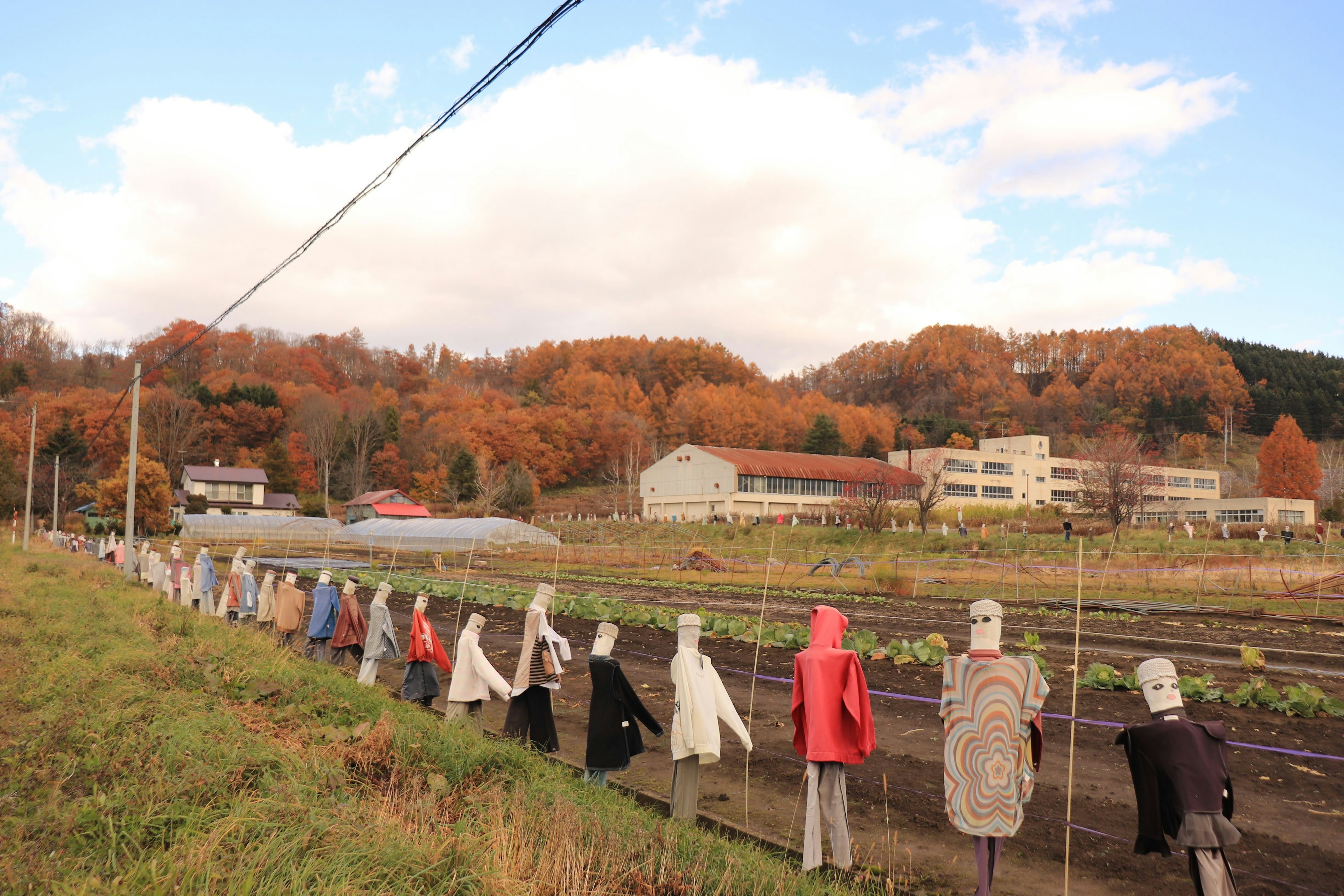 Espantapájaros alineados en una granja de otoño con árboles coloridos