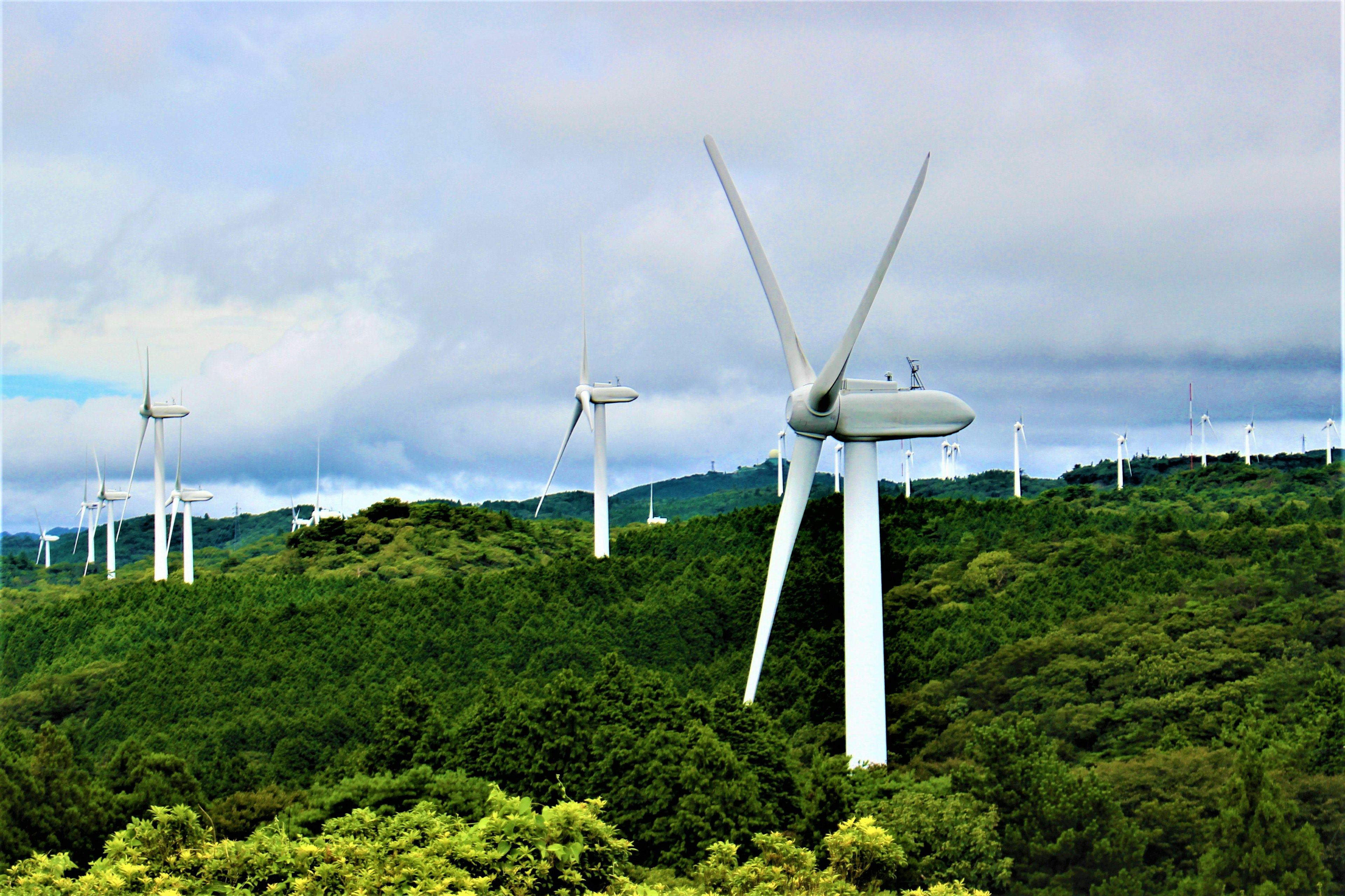 Cluster of wind turbines on a lush green hillside