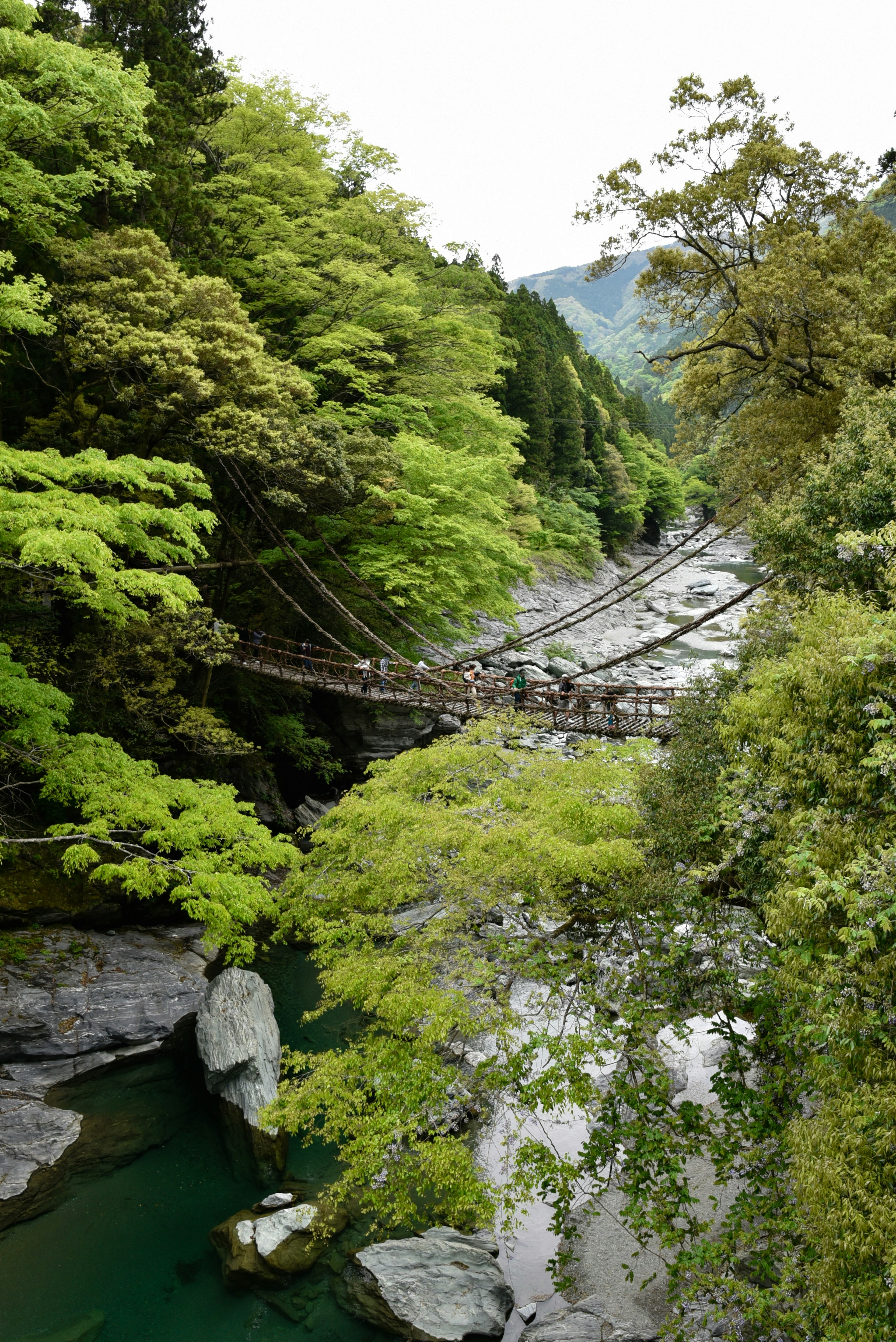 Vista panoramica di una valle verdeggiante con un ponte che attraversa un fiume