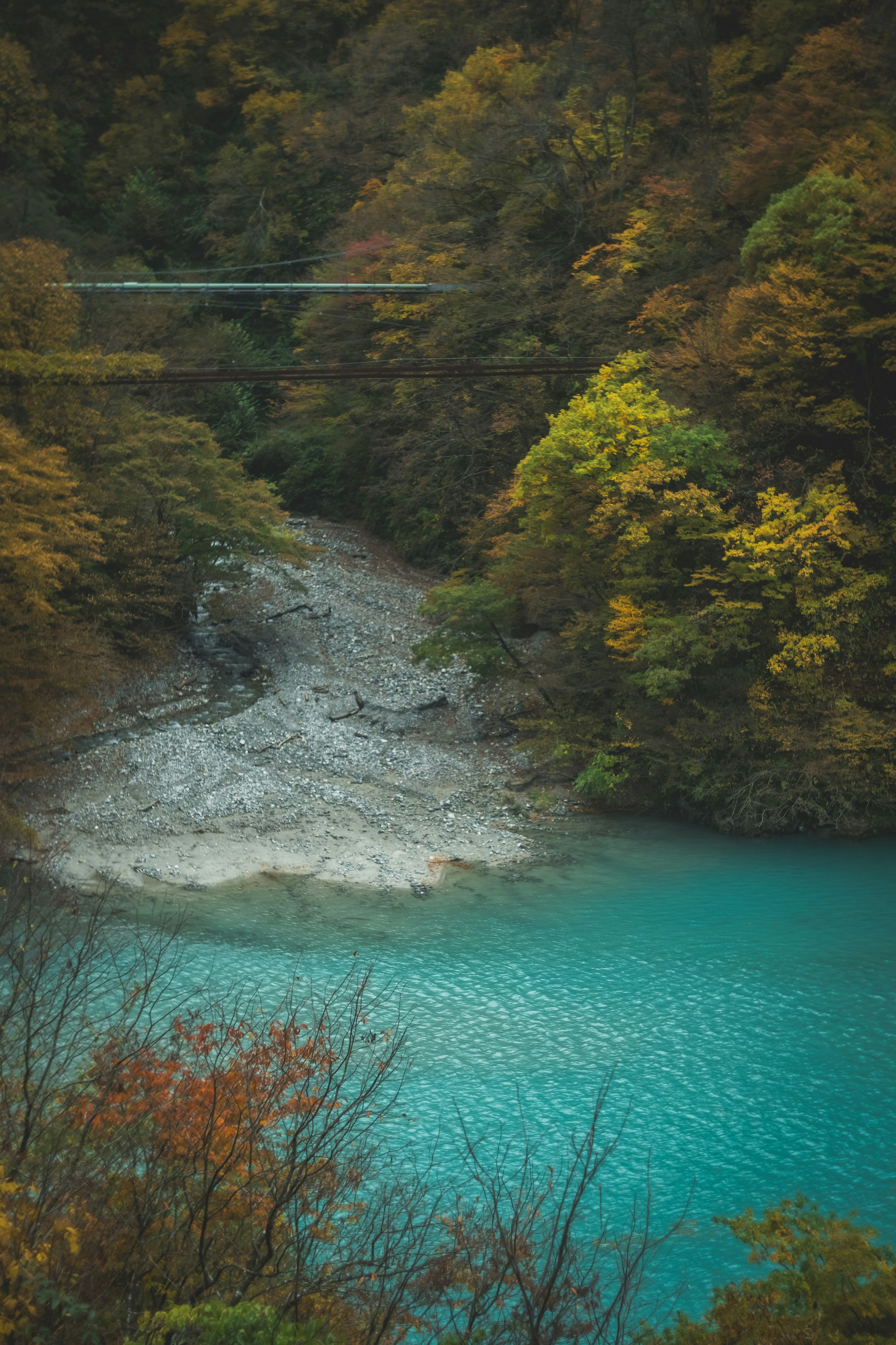 青い川と秋の色の木々がある風景