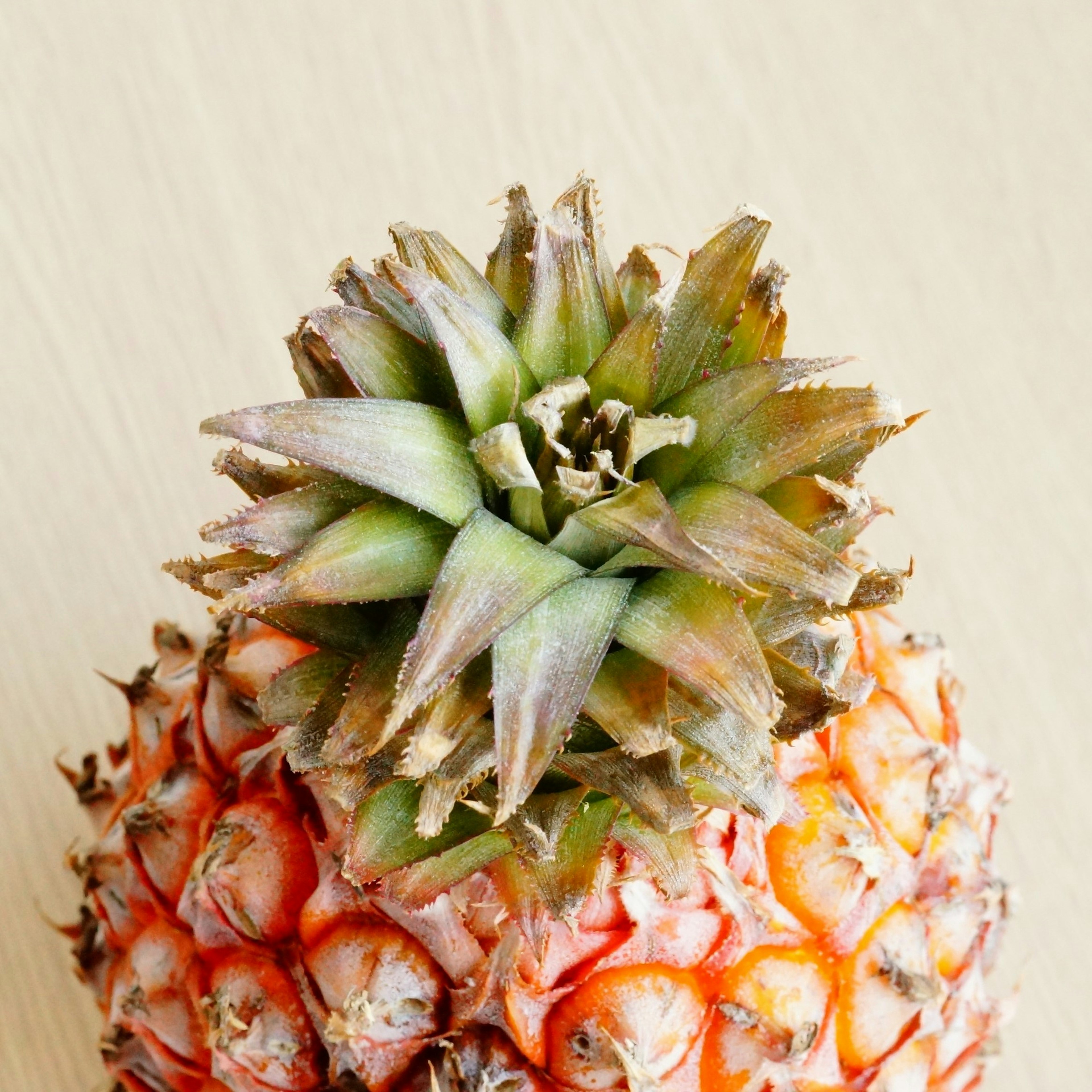 Close-up of a pineapple top with green leaves and orange skin