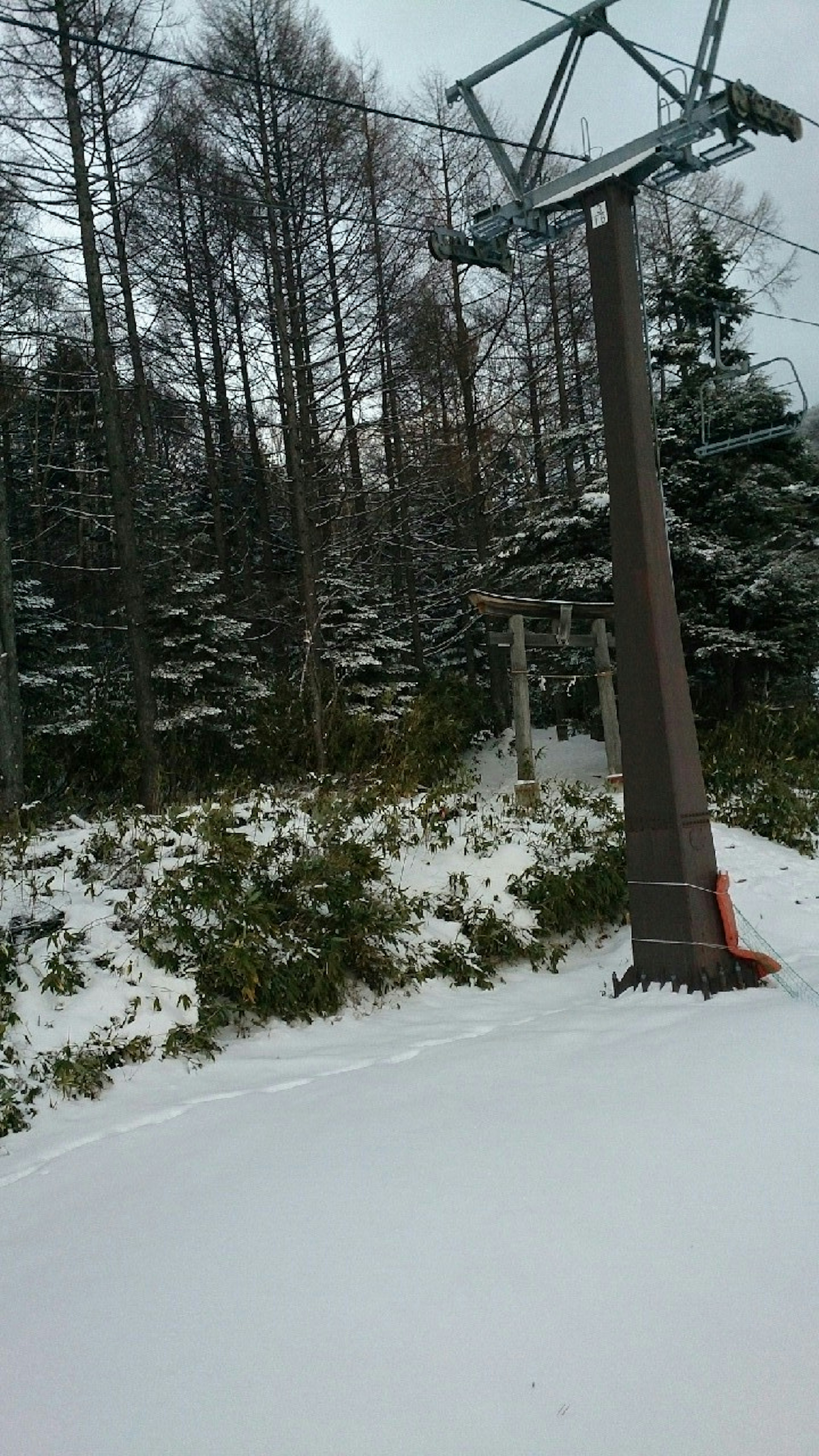 Snow-covered ski lift and forest scenery