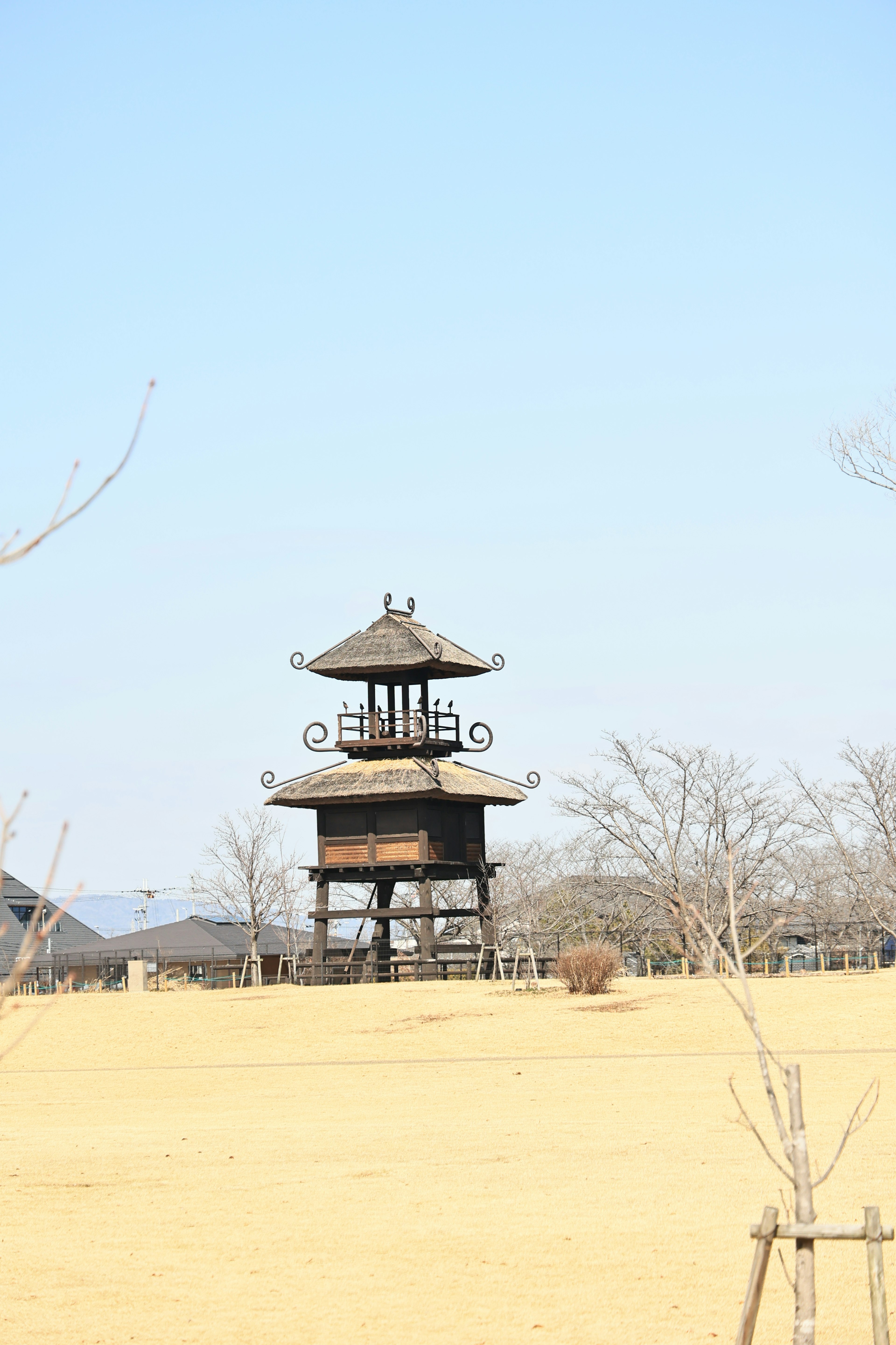 A wooden observation tower stands in a vast grassland