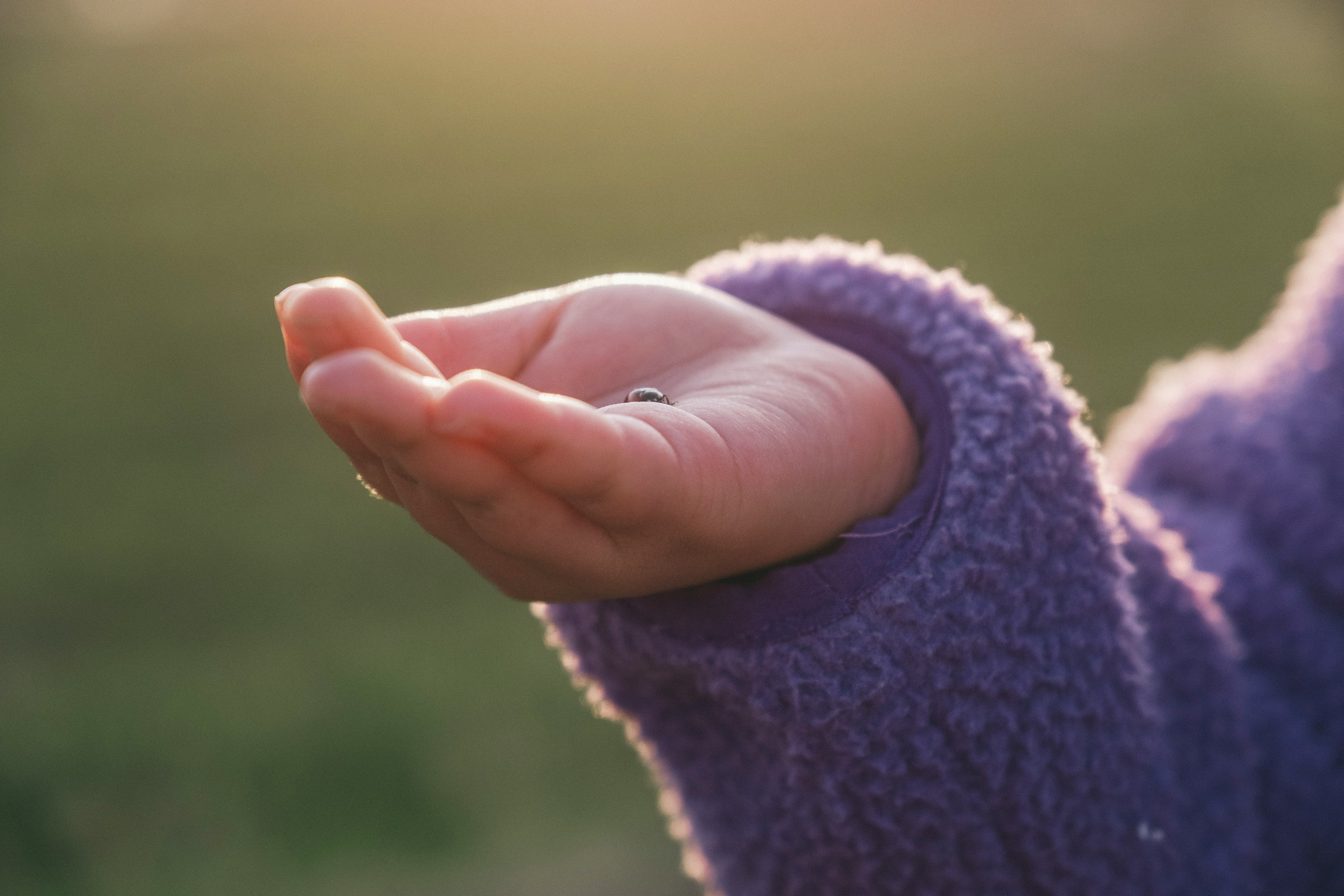 Mano de niño extendida usando un suéter morado