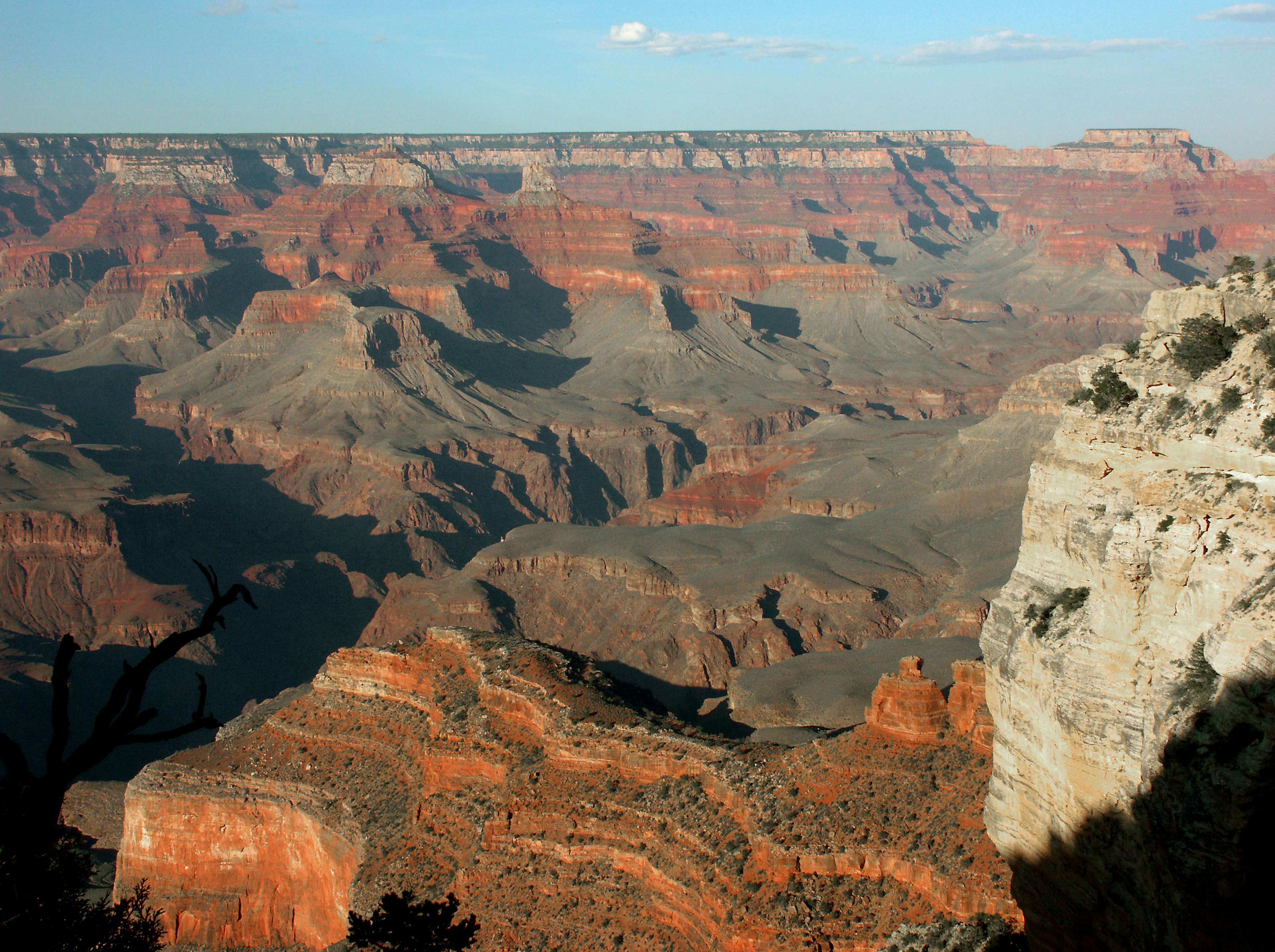 Vue impressionnante du Grand Canyon avec des formations rocheuses rouges et brunes en couches