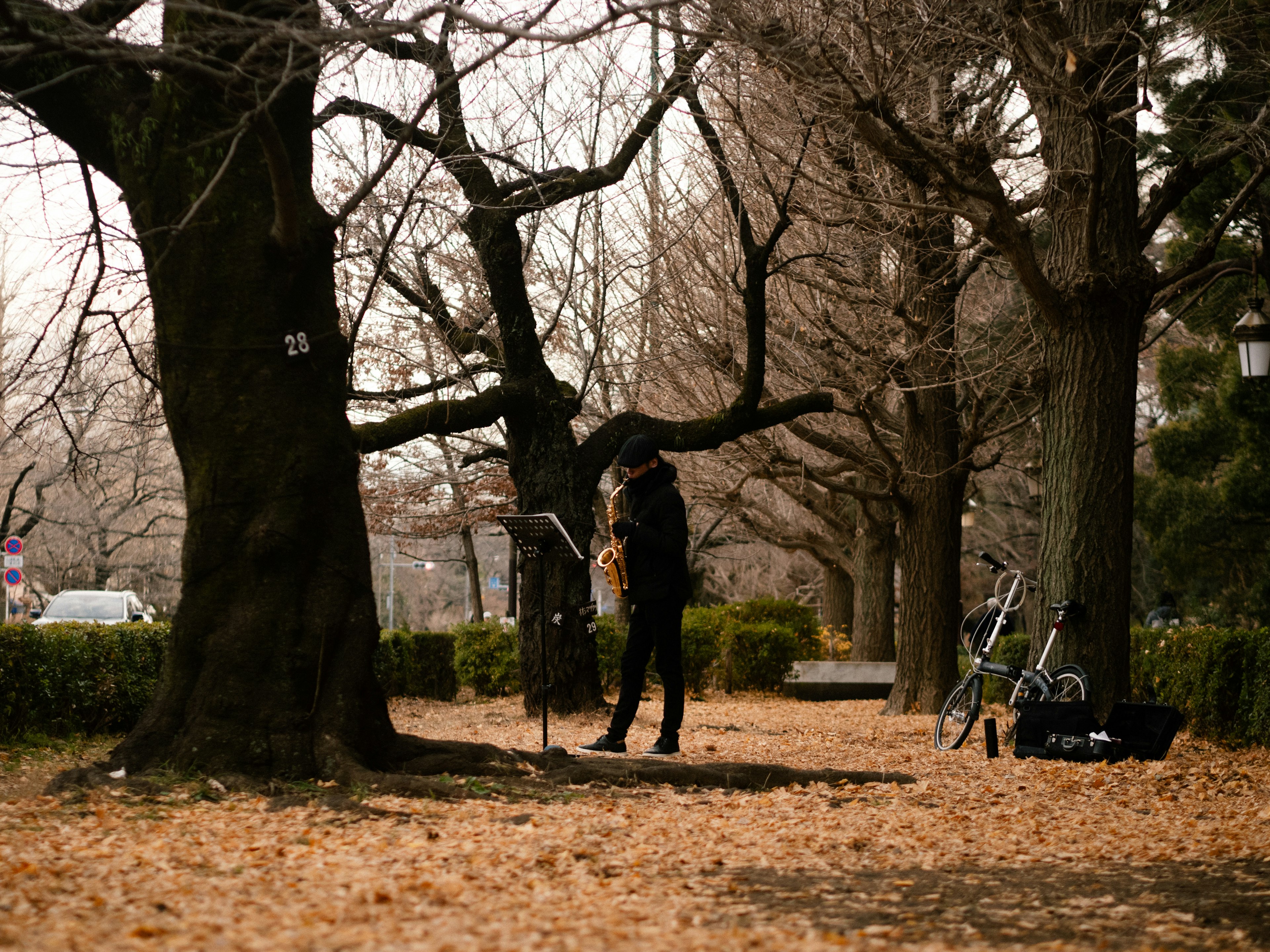 Musician playing saxophone in a park with fallen leaves