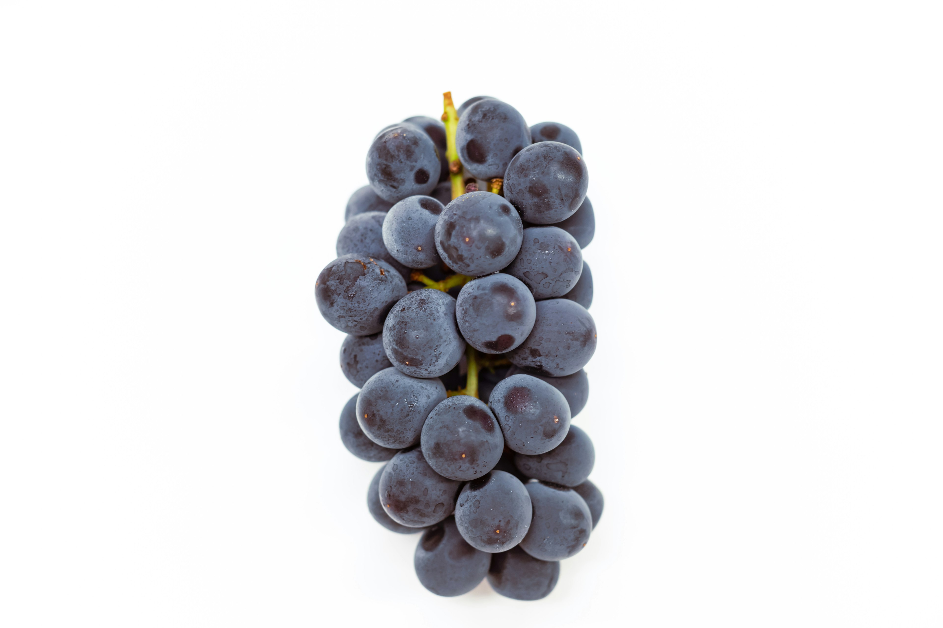 A cluster of purple grapes on a white background