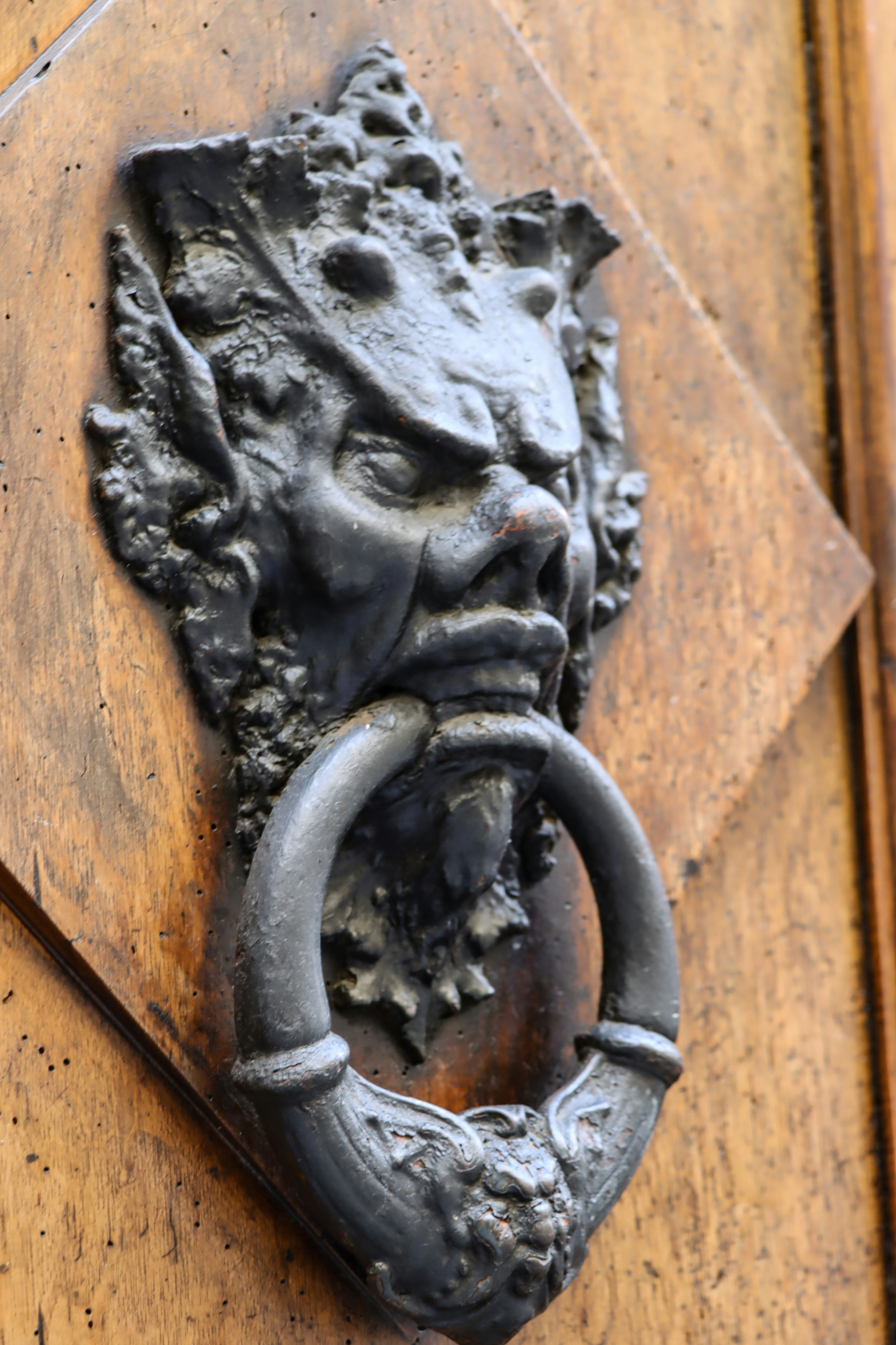 Knocker a forma di testa di leone montato su una porta in legno decorata