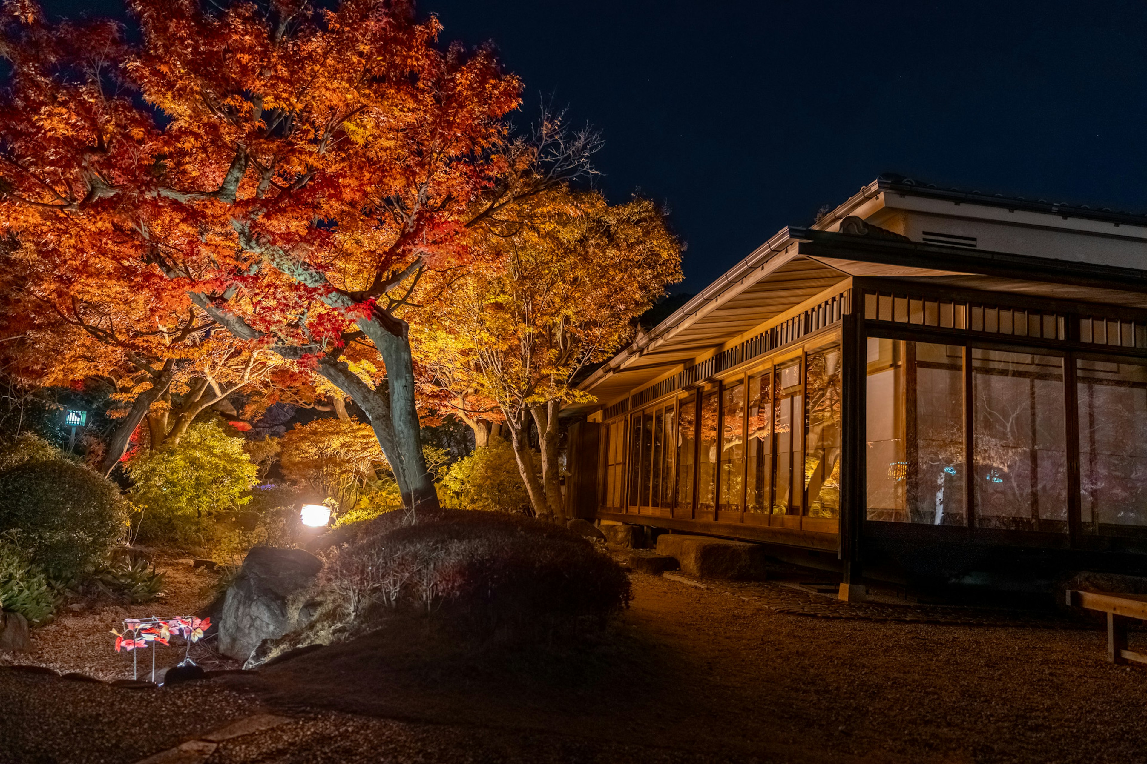 夜の日本庭園に照らされた紅葉と伝統的な建物