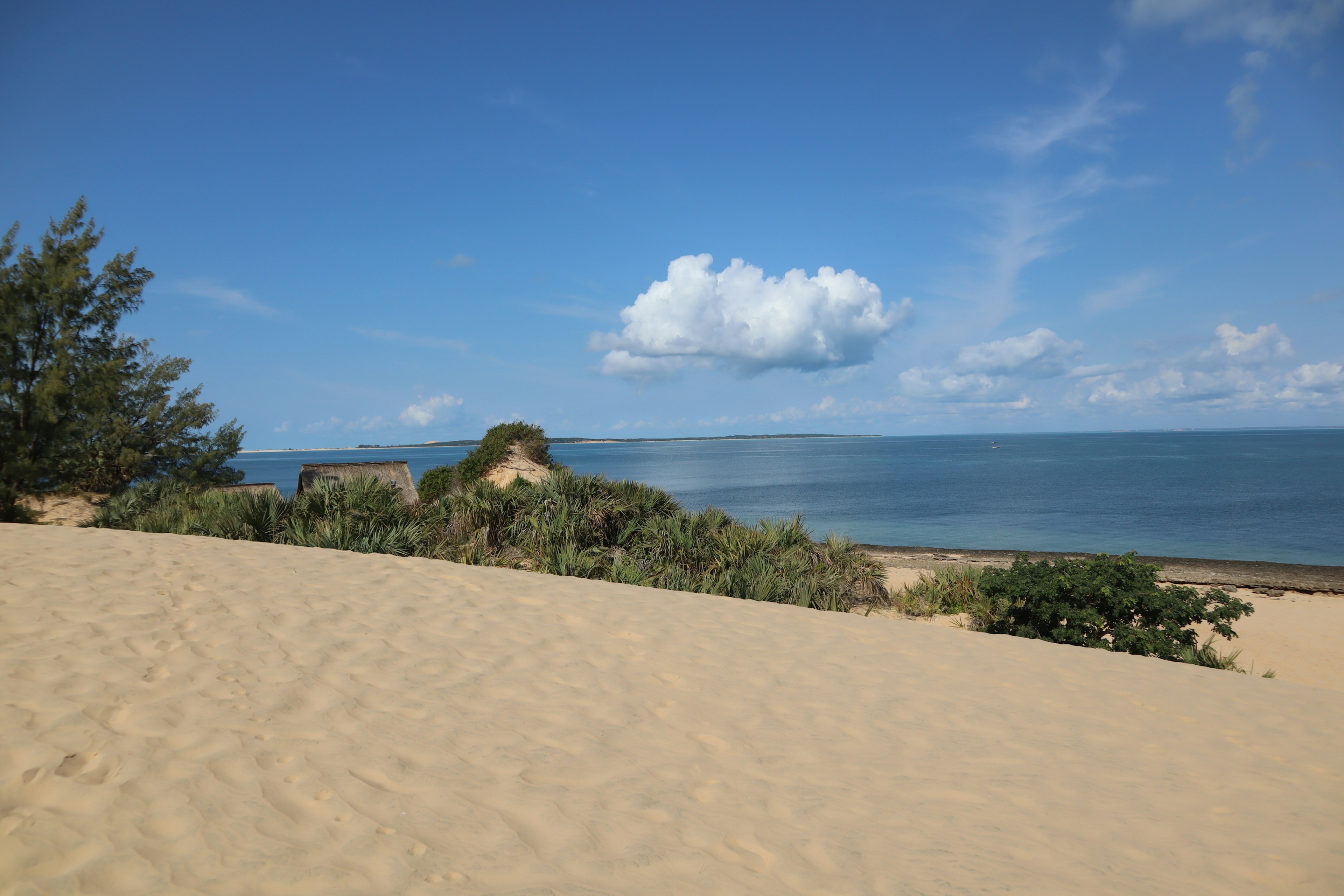 Vue panoramique d'une dune de sable avec une végétation verte et un océan bleu